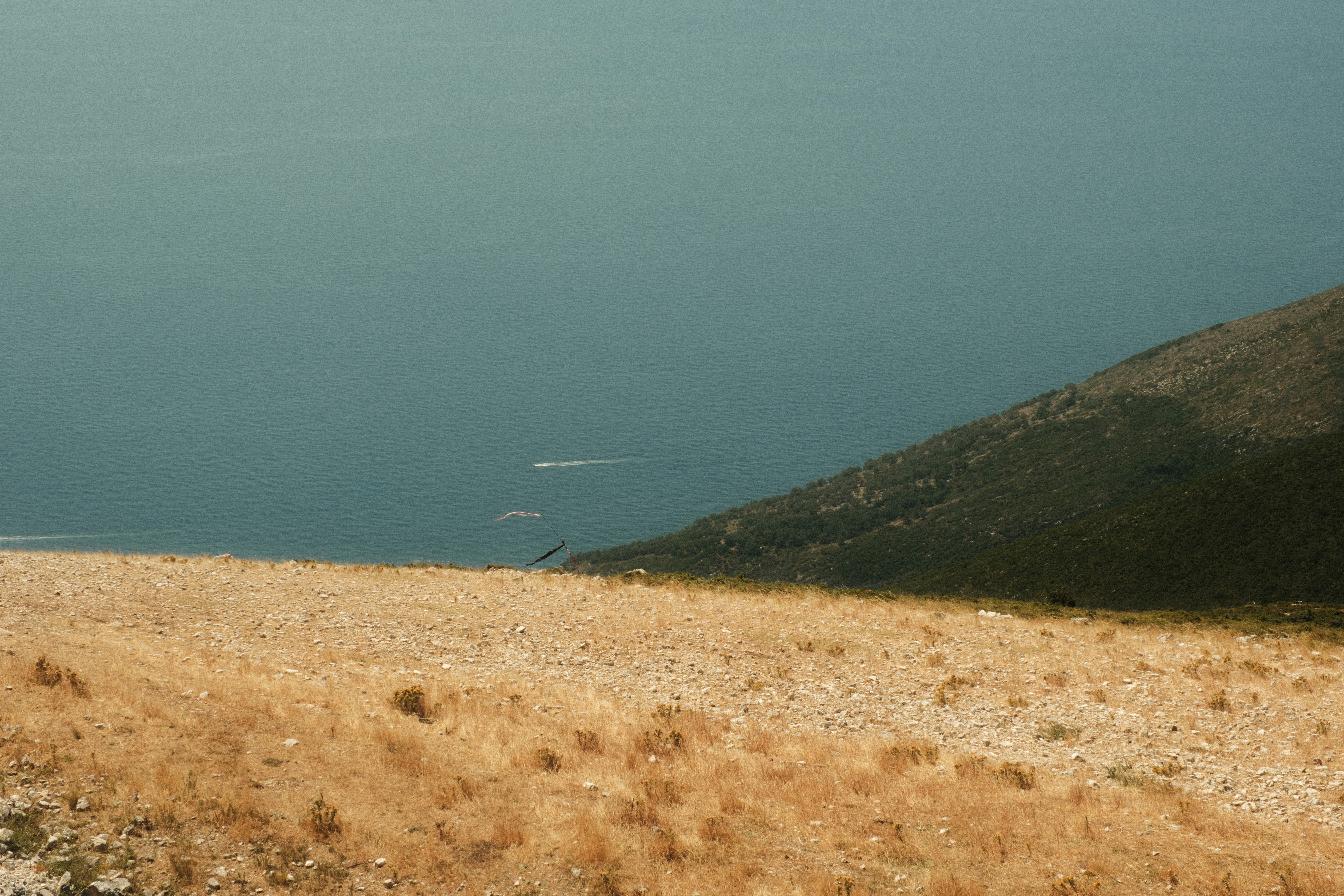 A paraglider flying over a blue sea beside a green mountain slope