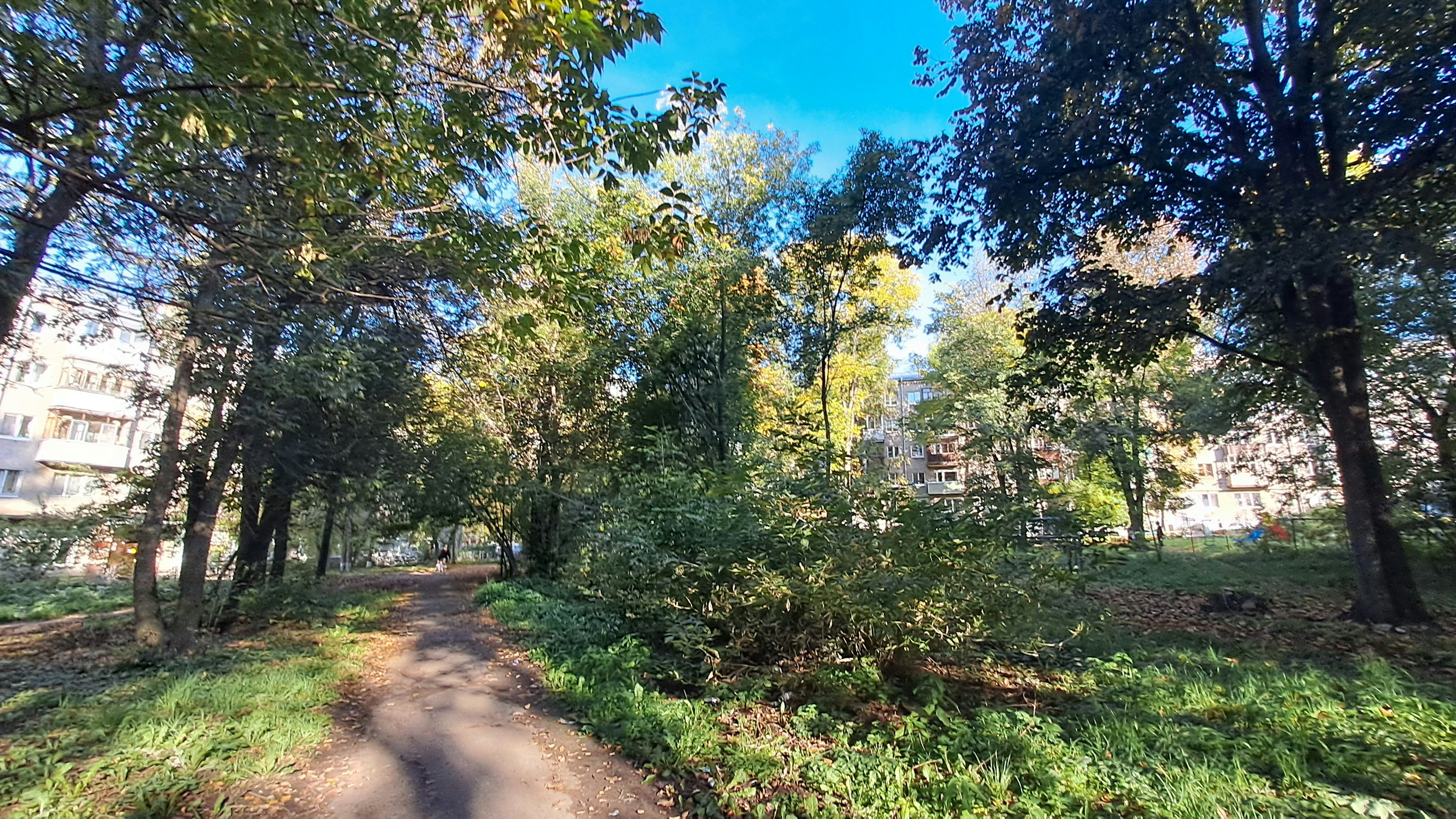 Dirt path winding through a park