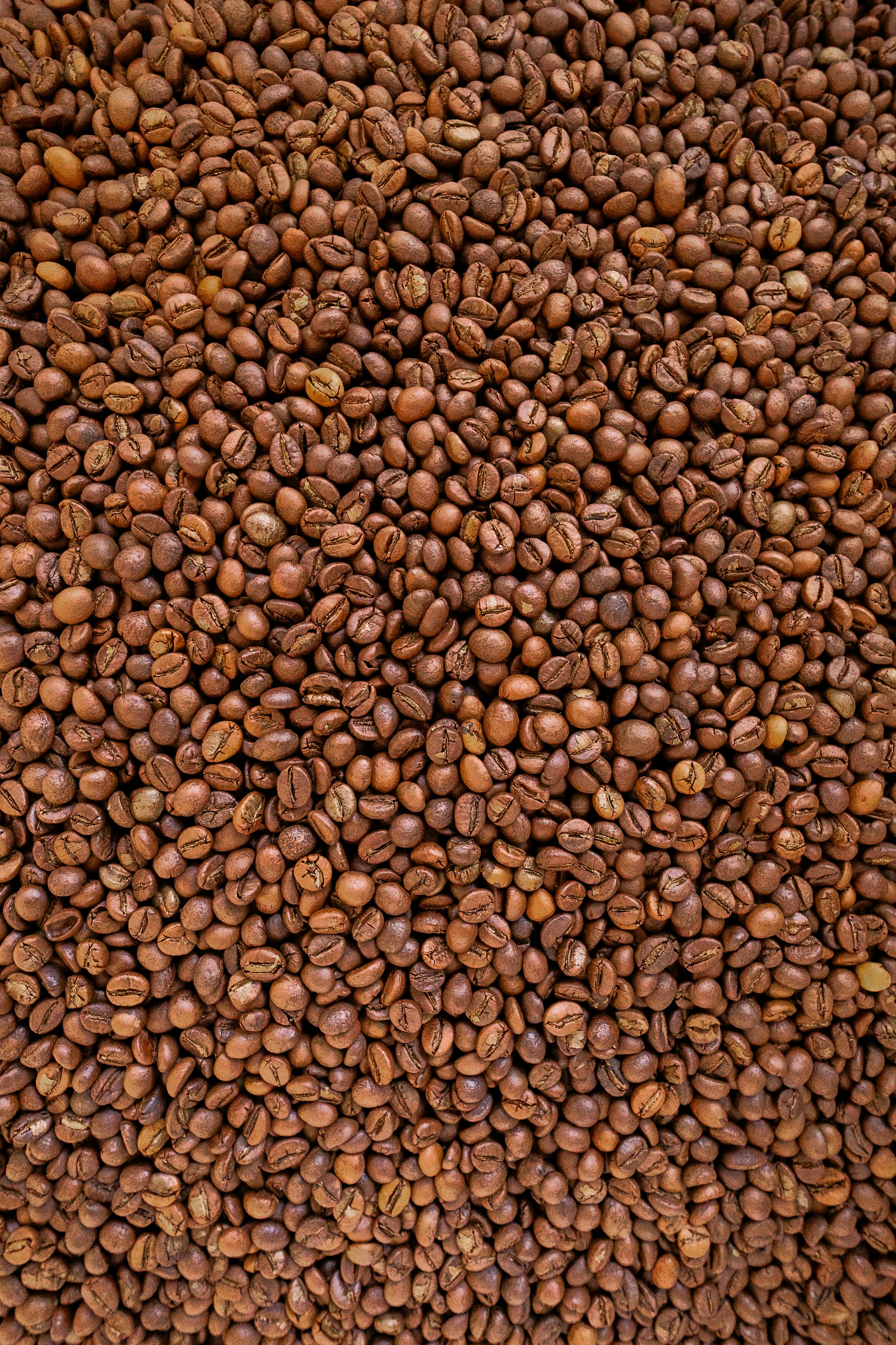 A dense pile of roasted brown coffee beans filling the entire frame