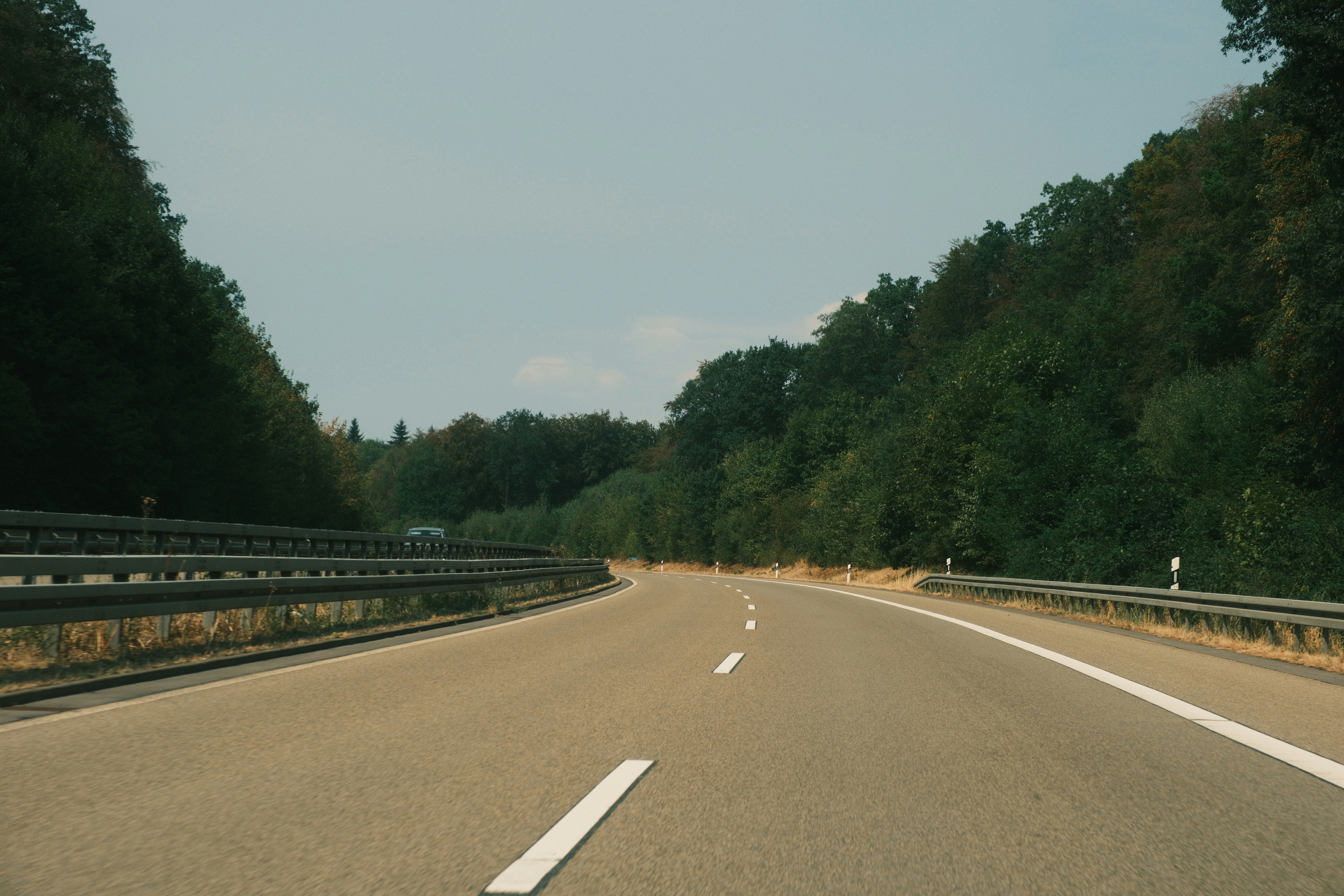 A winding asphalt road through a dense forest with metal guardrails on both sides