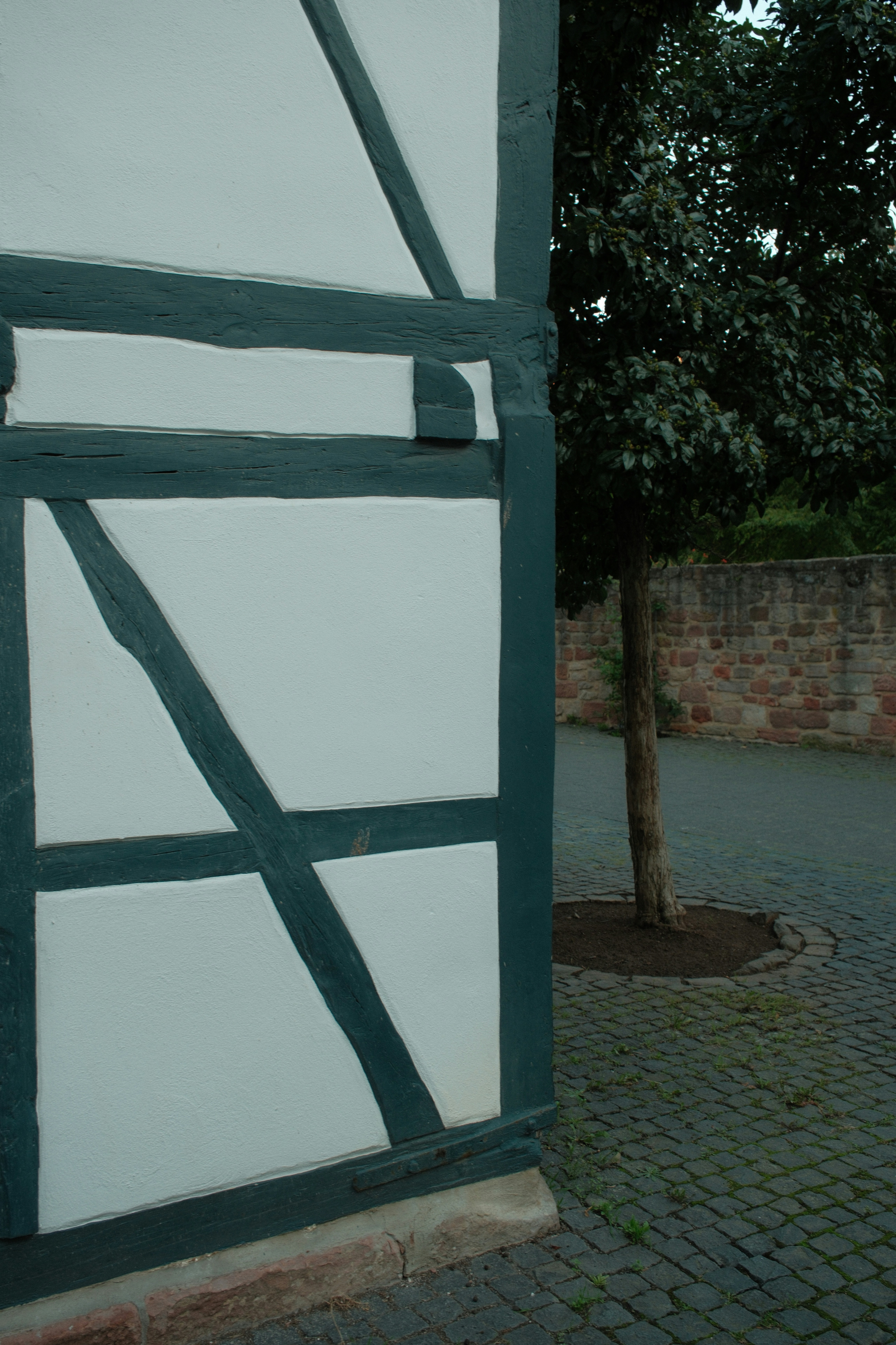 A timber-framed wall with white plaster beside a tree on a cobblestone path