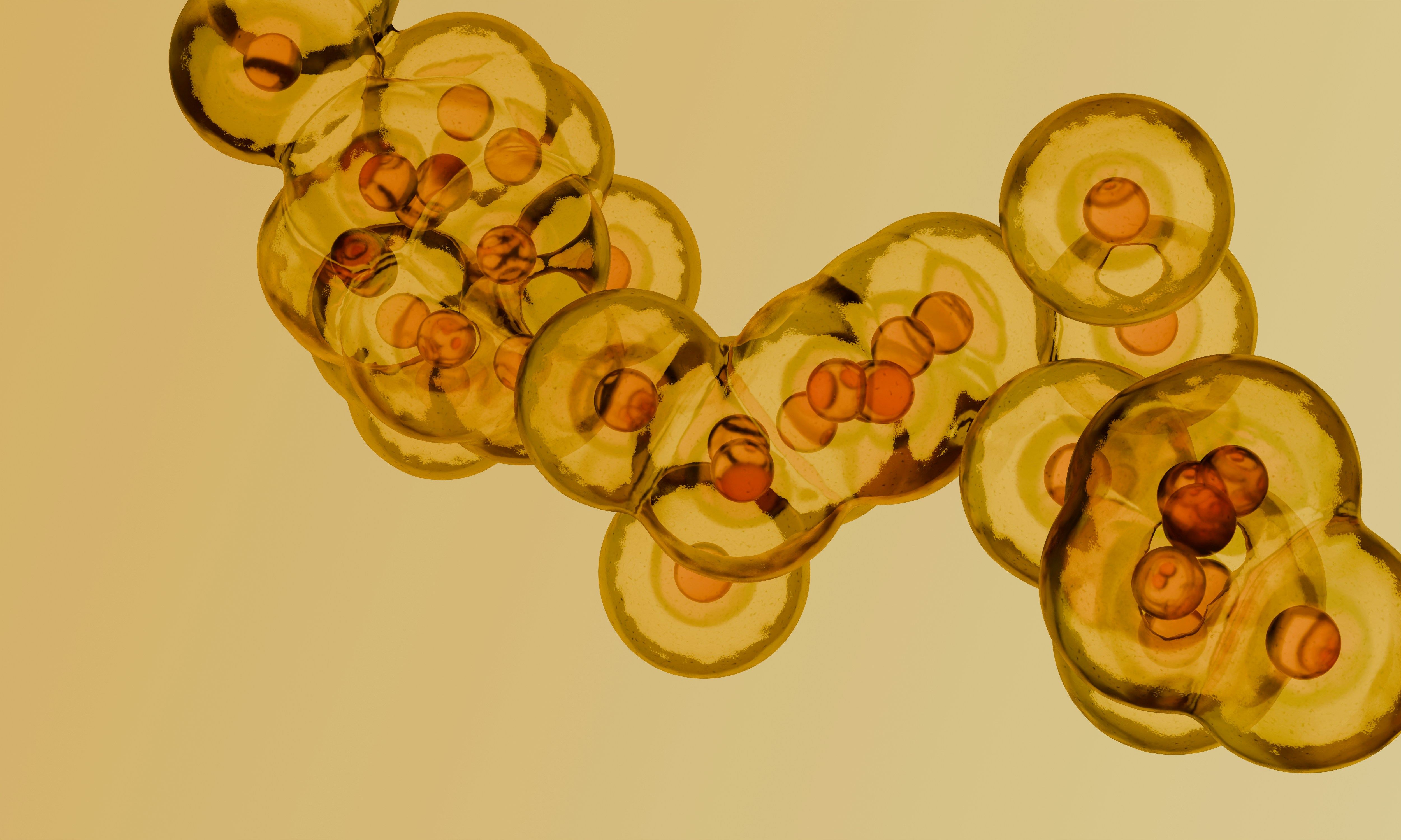 Translucent yellow spheres with internal orange nuclei clustered against a light yellow background