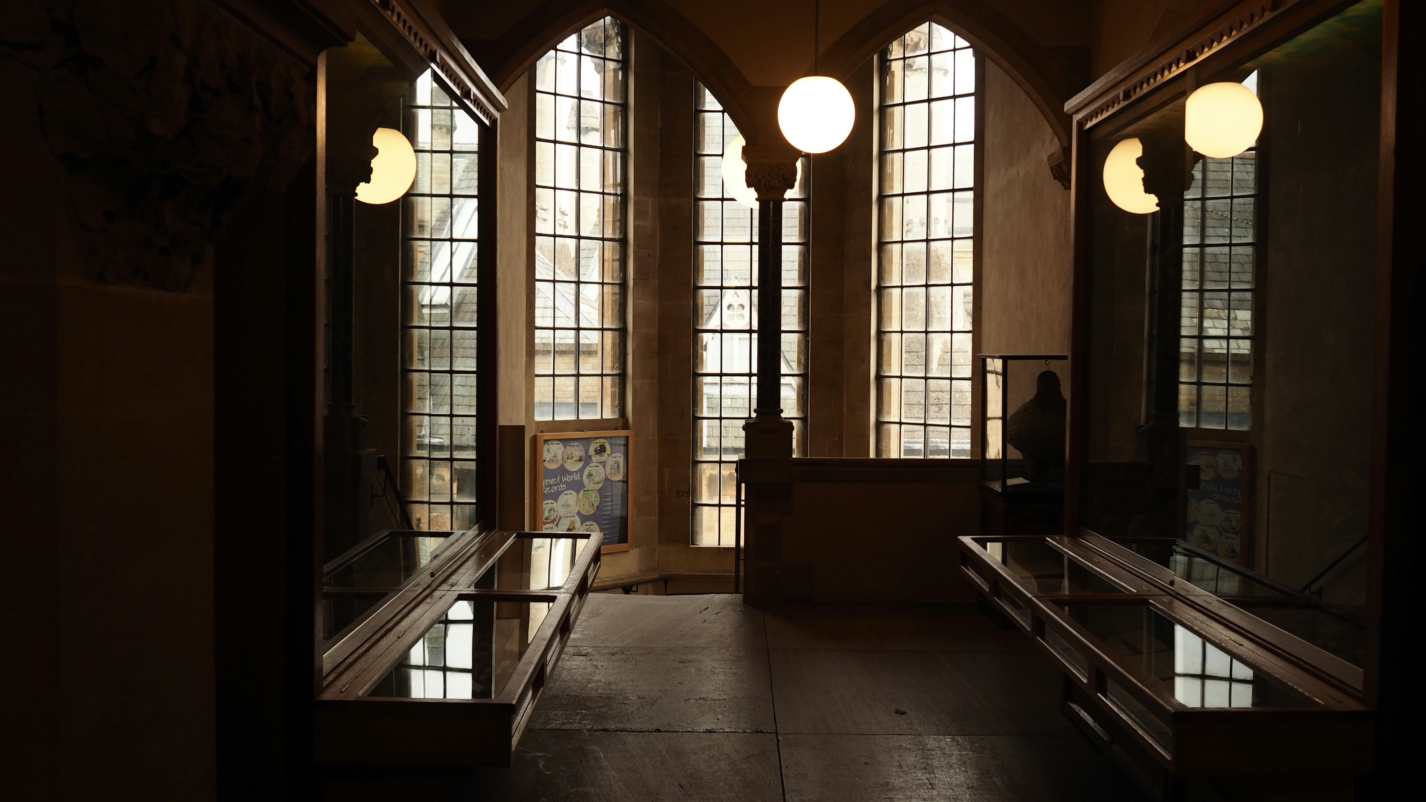 Dimly lit interior with glass display cases
