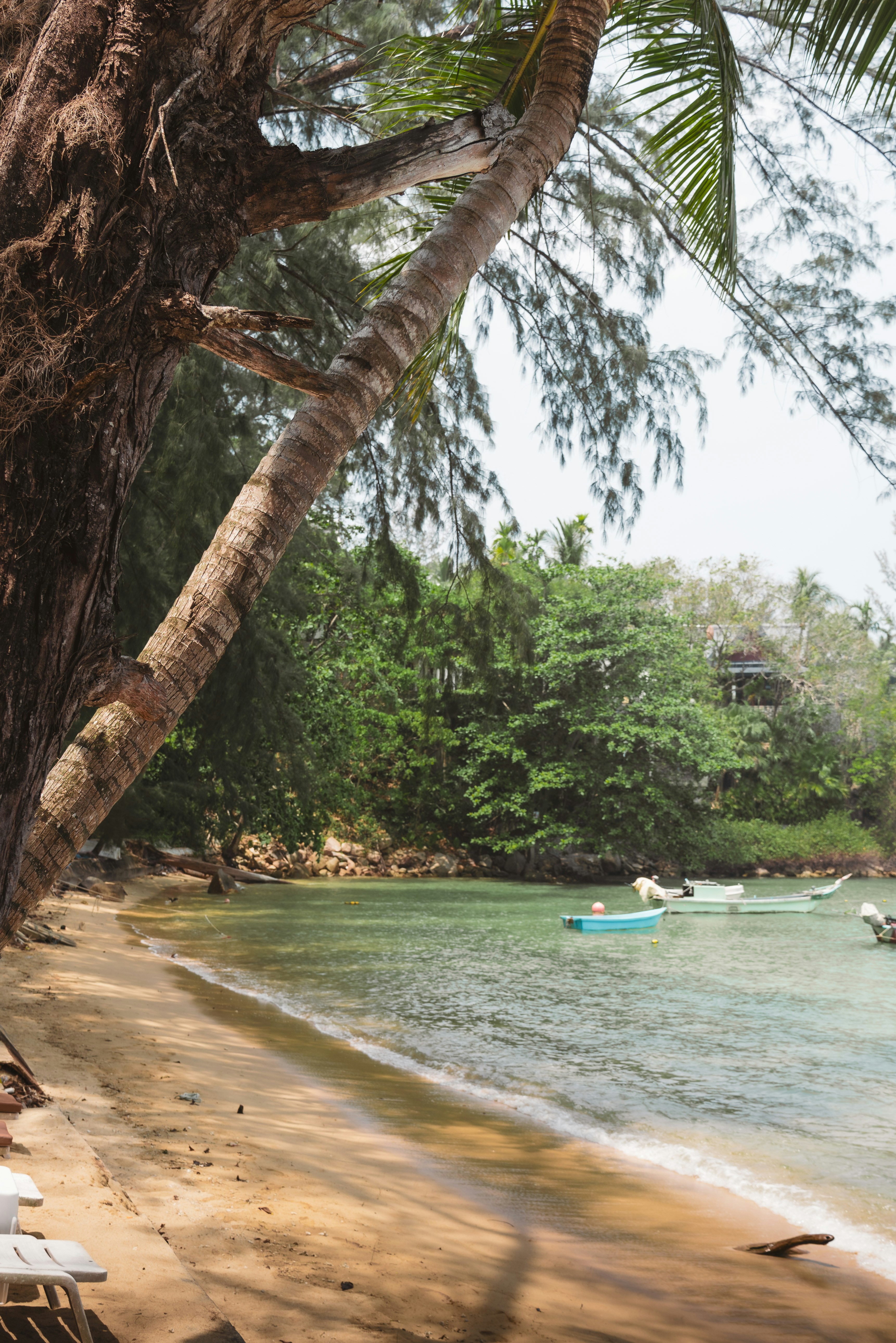 Small boats anchored in a calm tropical bay with a sandy beach and palm trees