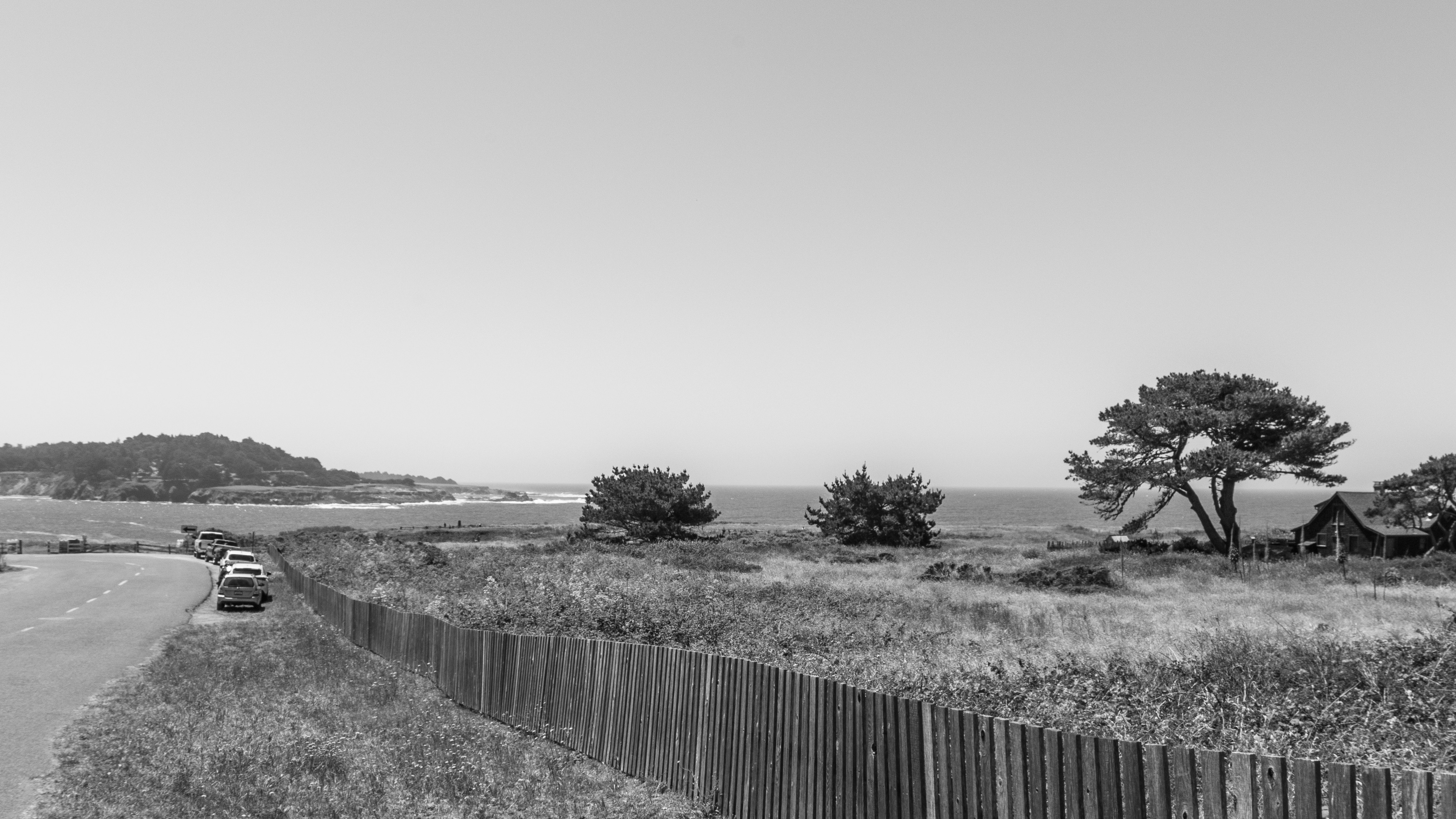 A black and white view of a coastal road with parked cars and trees