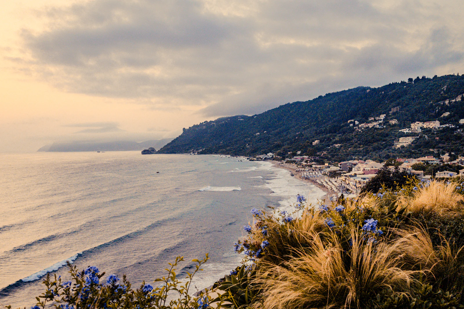 Coastal landscape with wildflowers overlooking the sea