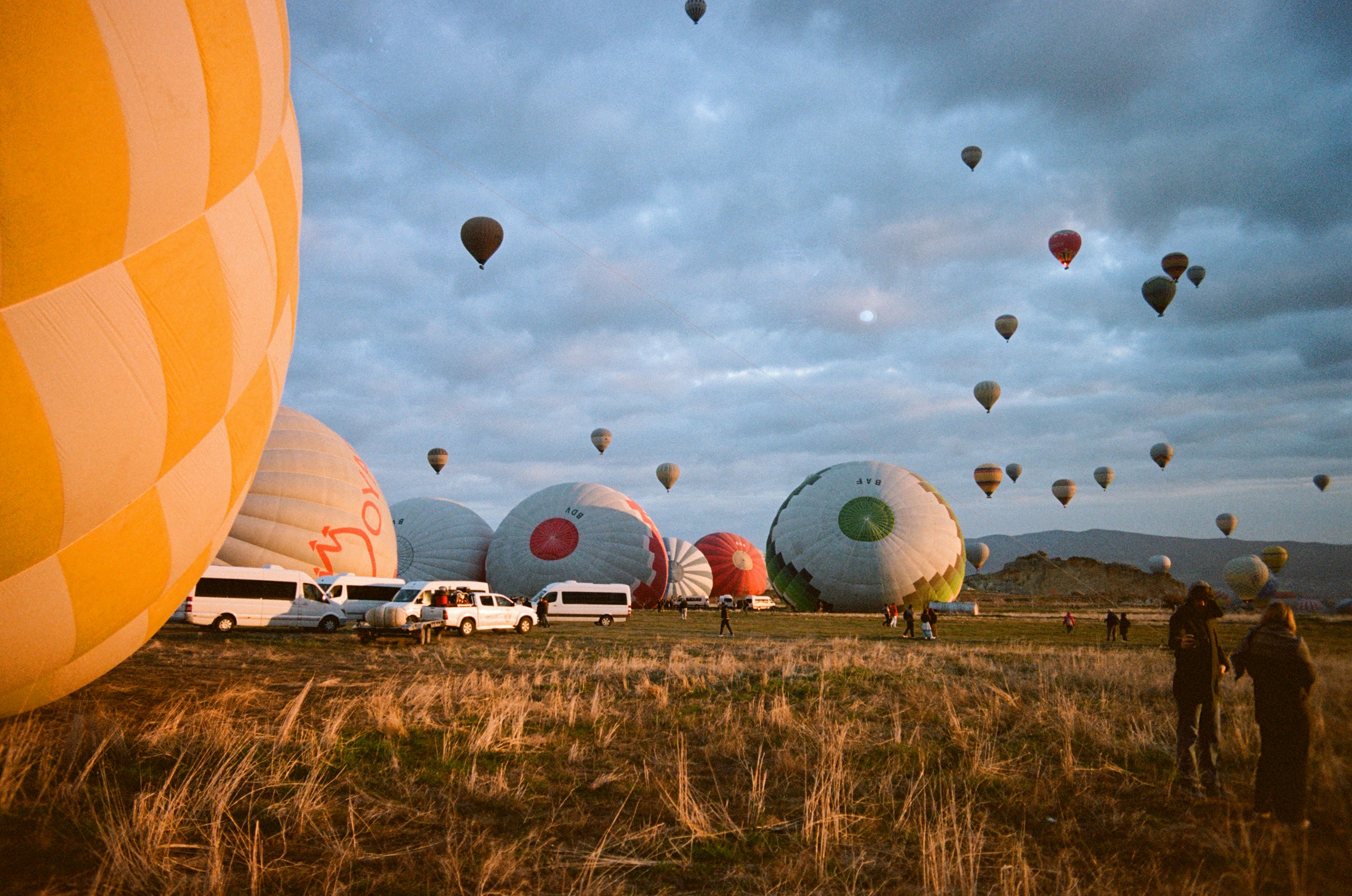 Many hot air balloons over a grassy field with white vans at dawn