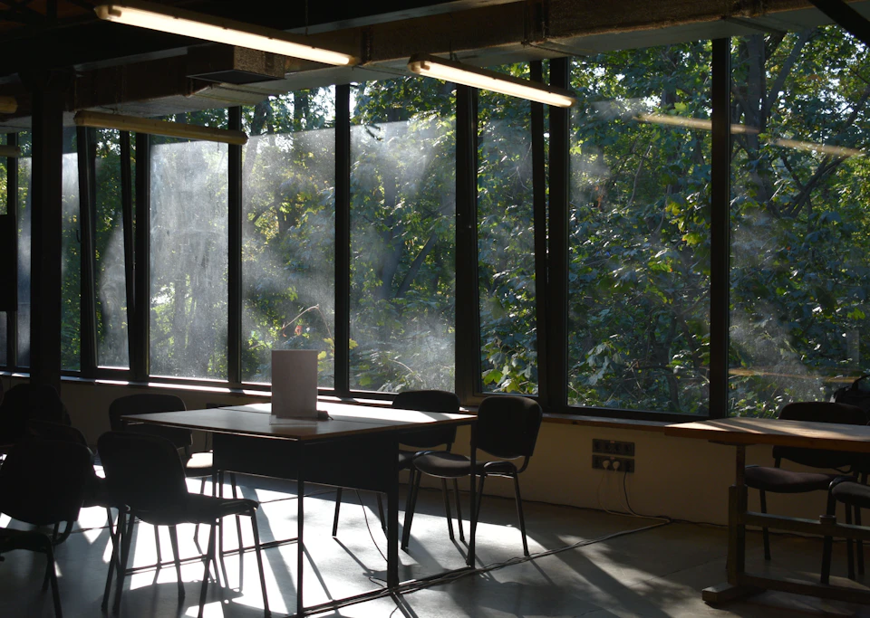 Sunlight streaming through large windows into a workspace with tables and chairs