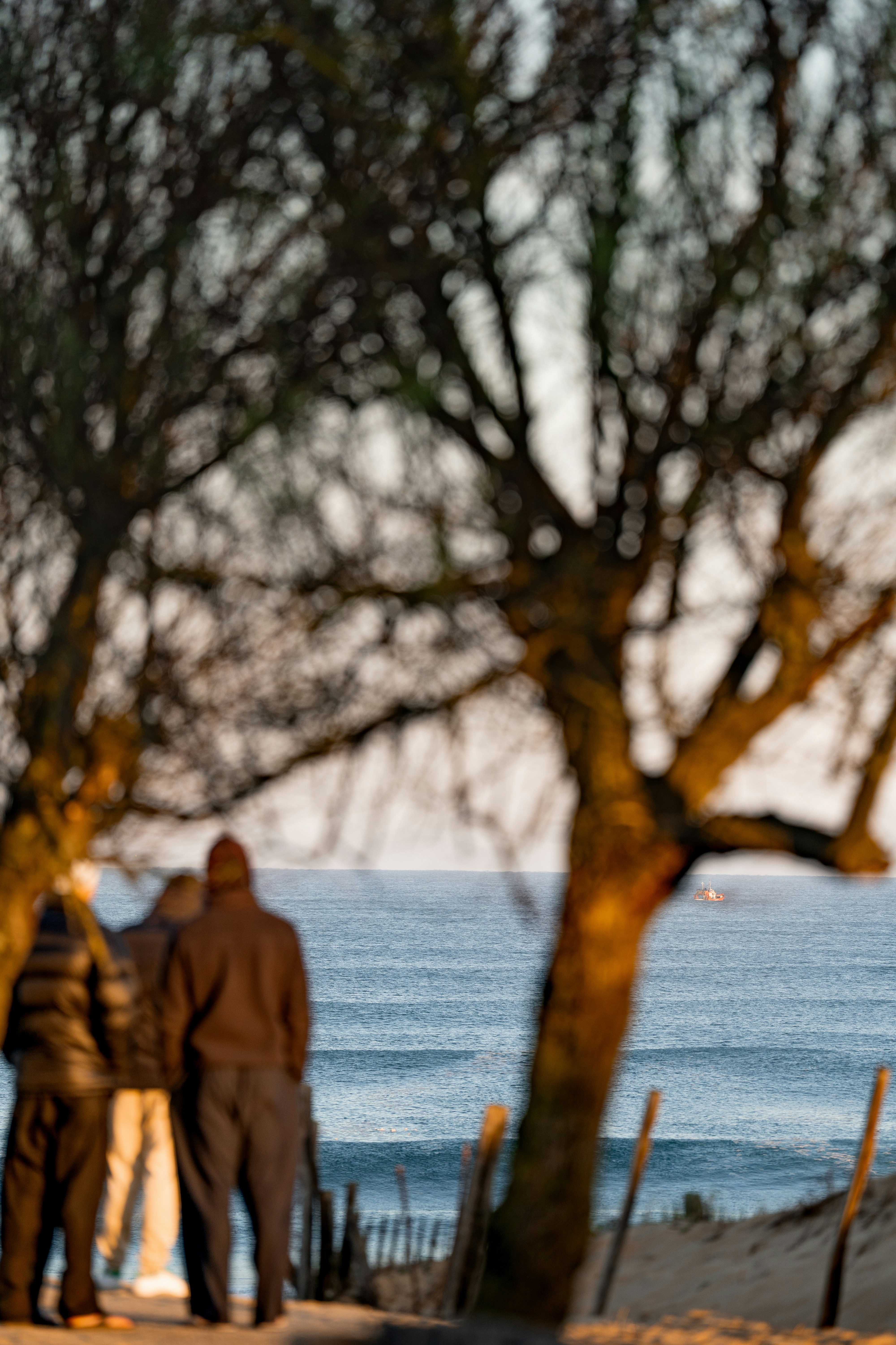 Three people in jackets looking at a distant boat on the ocean
