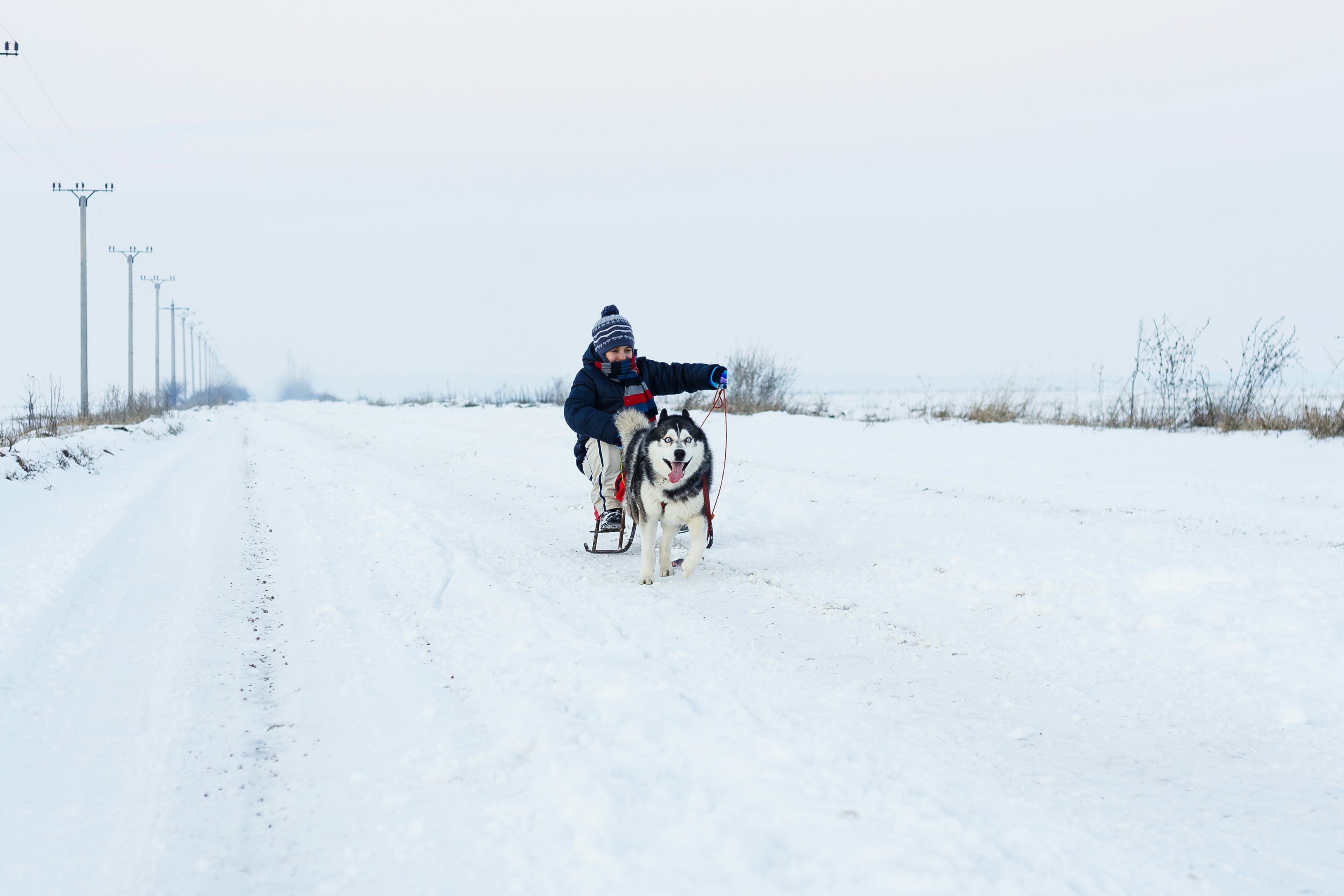 Armor Cani Évasion — Cani-kart et cani-rando — Quemper-Guézennec