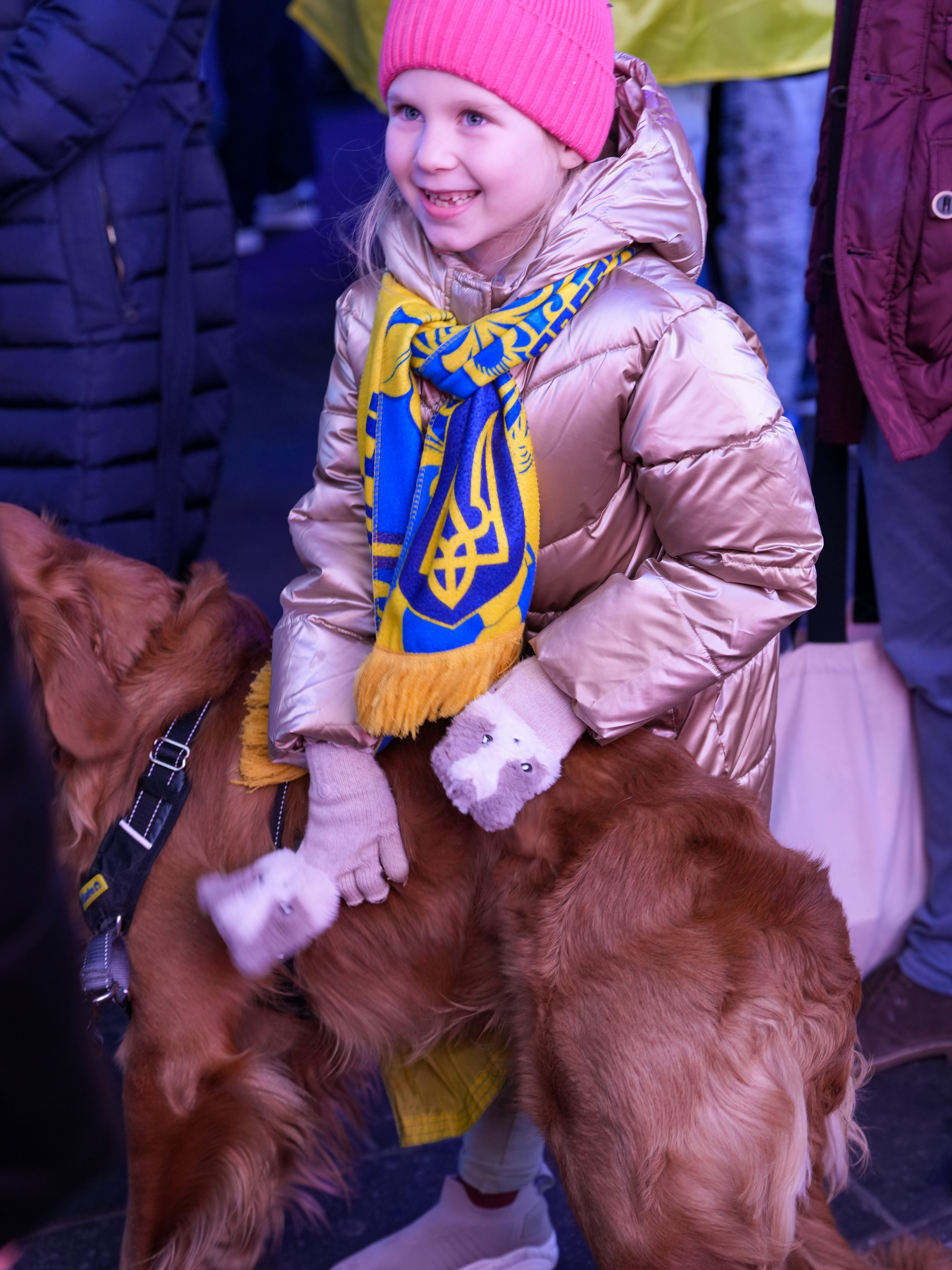 A child in a pink hat and gold jacket petting a golden retriever