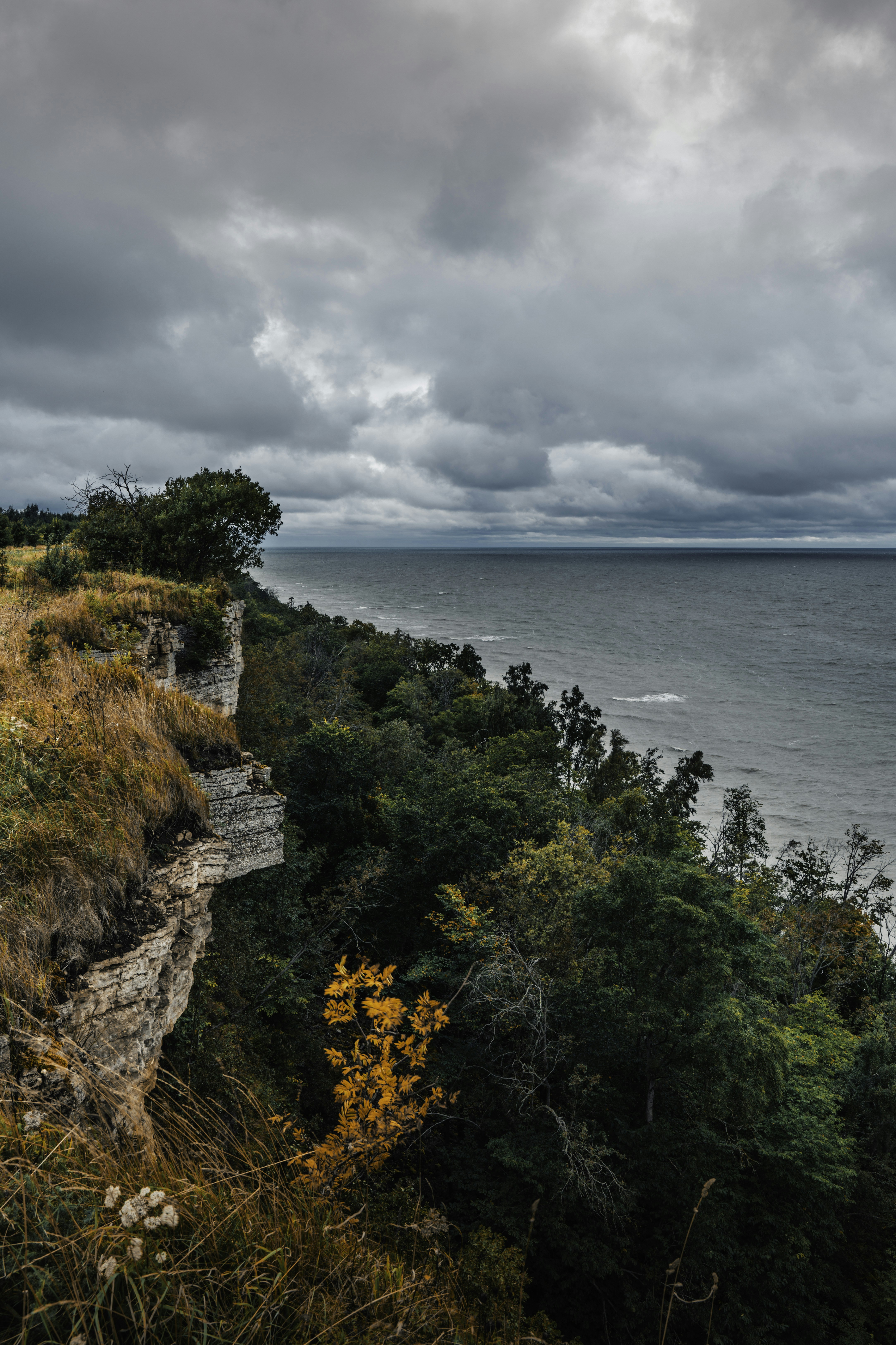Eine mit Bäumen und Gras bedeckte Kalksteinklippe mit Blick auf ein dunkles Meer
