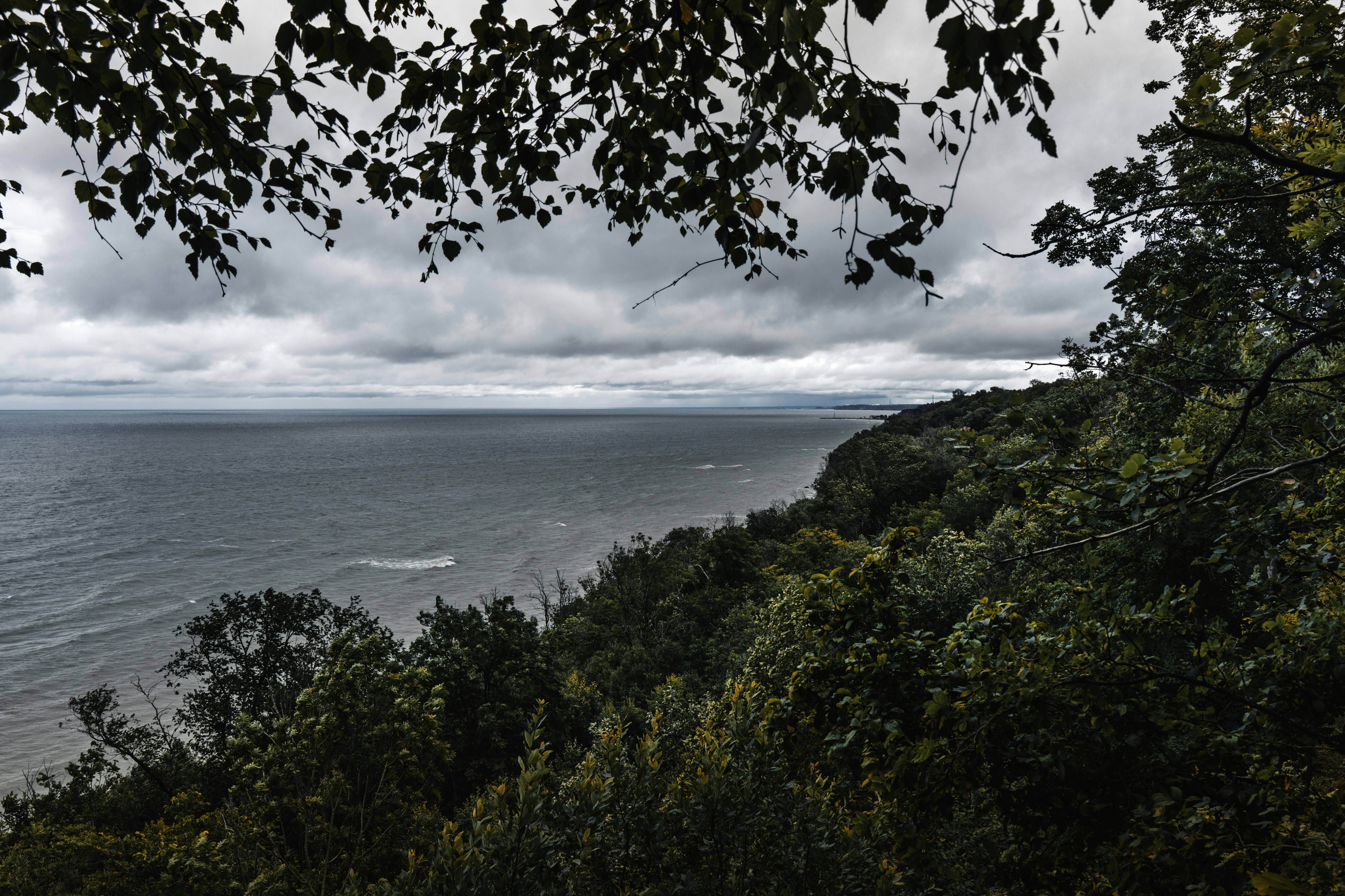 Ein Blick auf einen riesigen See von einer bewaldeten Klippe unter bewölktem Himmel