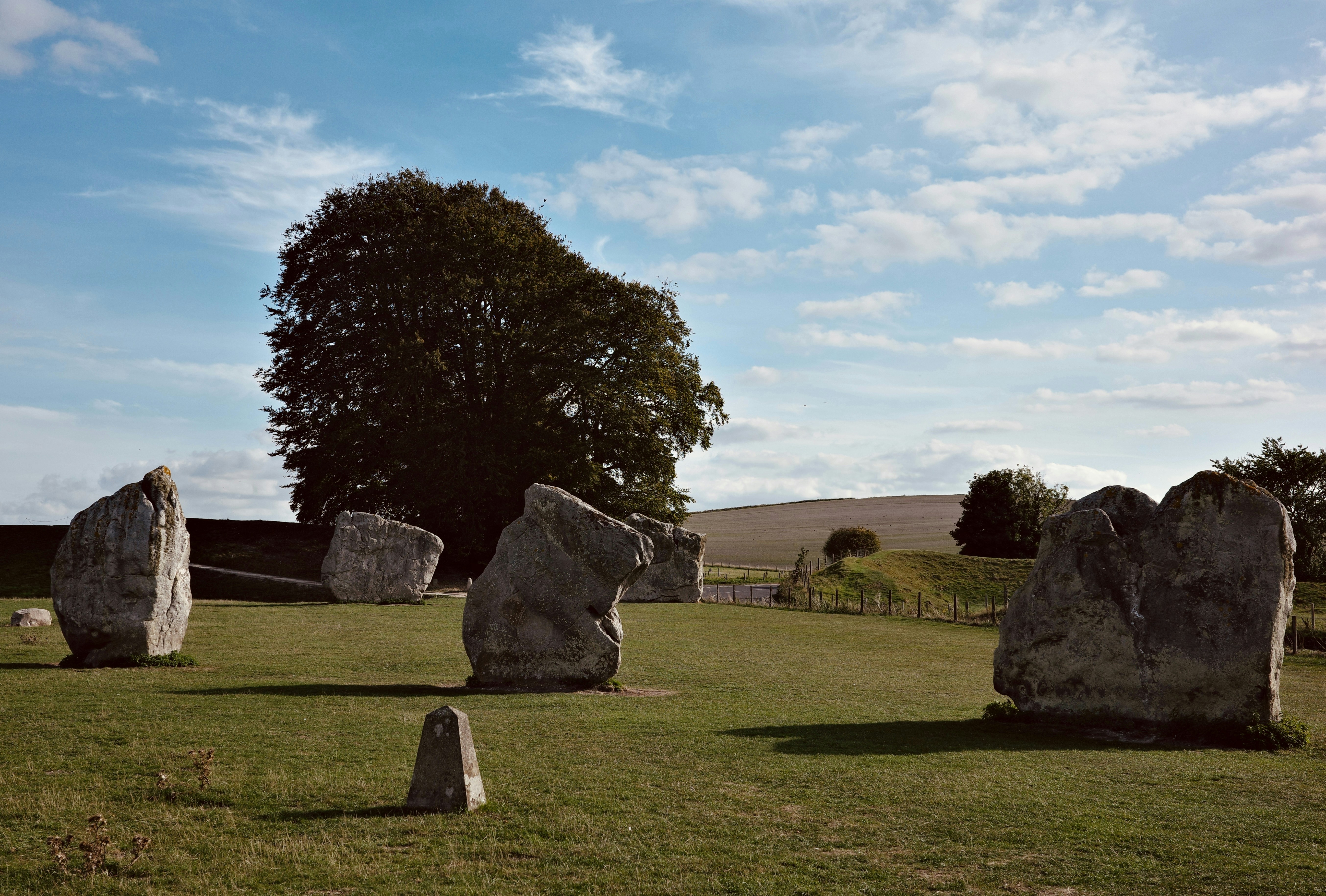 Large standing stones in a grassy field with a large tree in Avebury