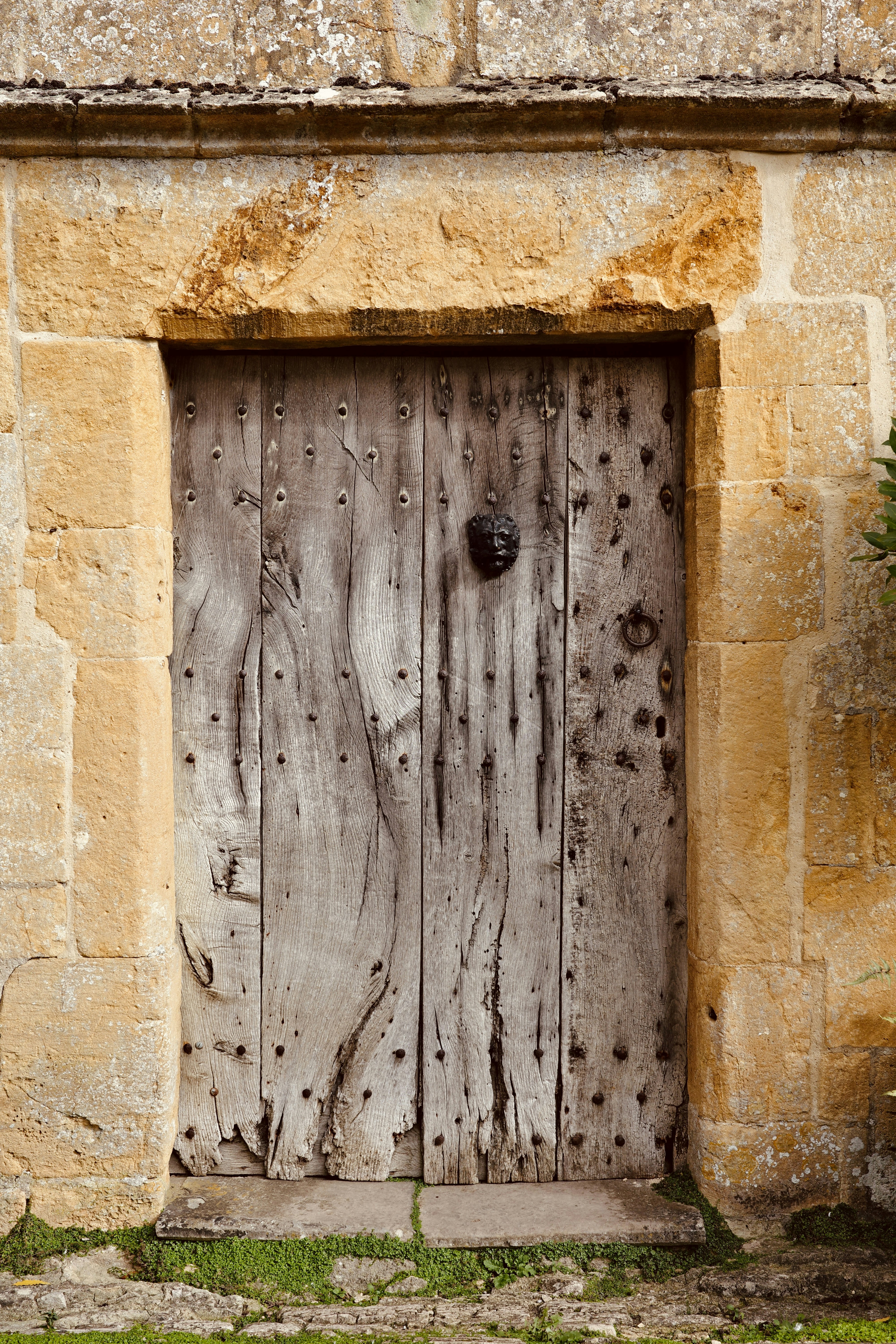 A weathered wooden door with iron studs and a lion head knocker in stone