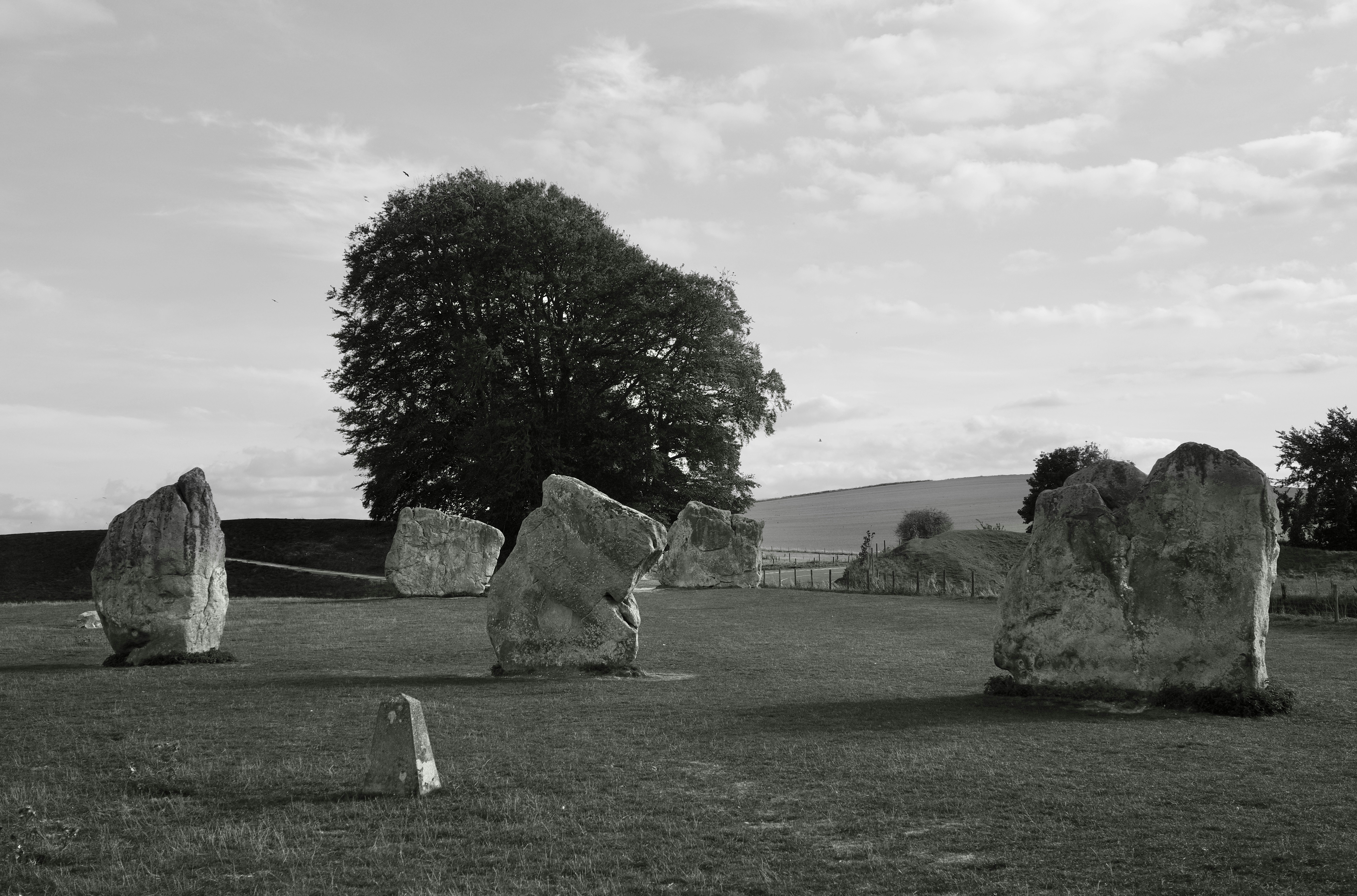 Large standing stones in a grassy field with a large tree in Avebury