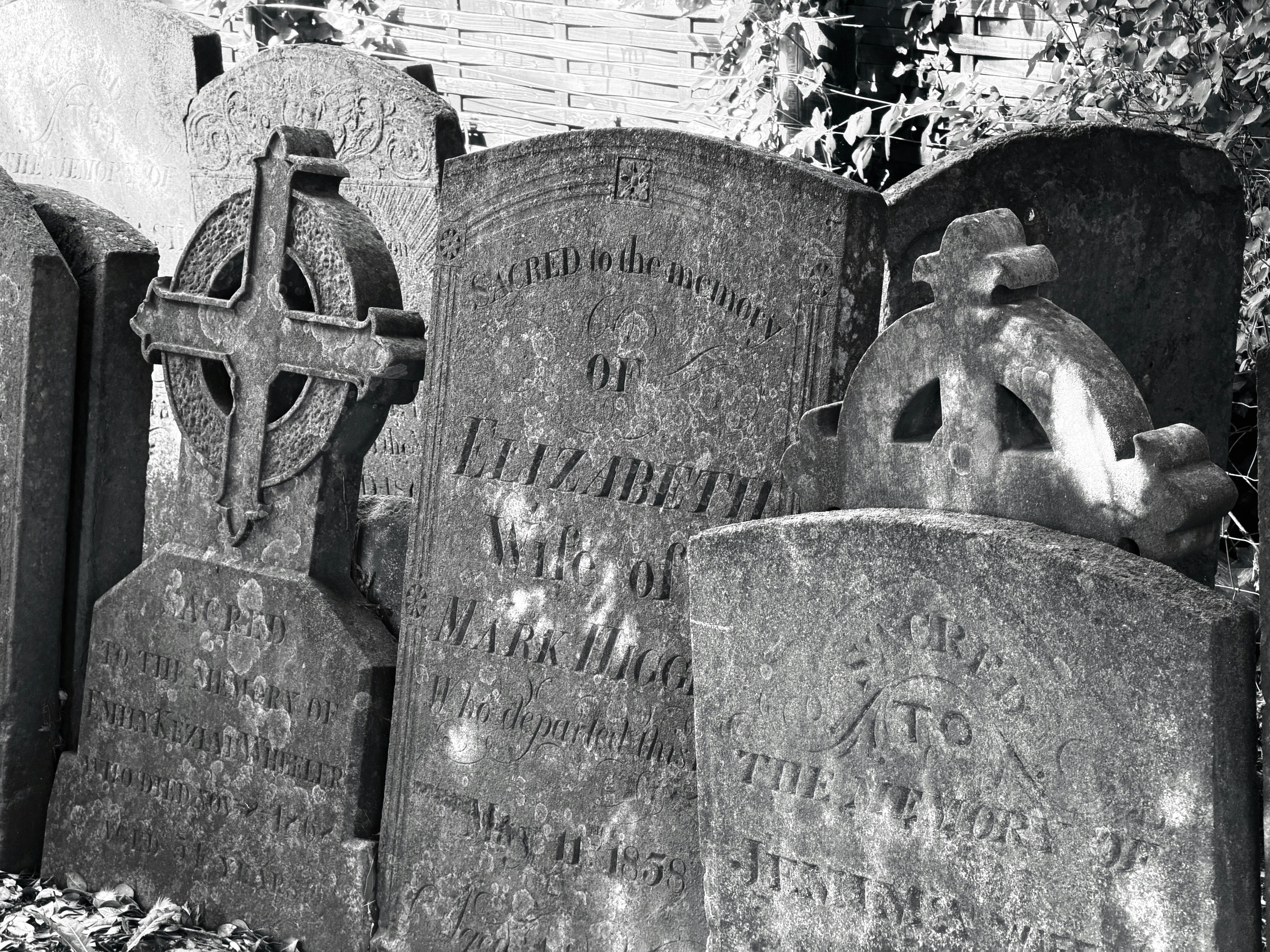 Weathered stone headstones with carved Celtic crosses in an old cemetery