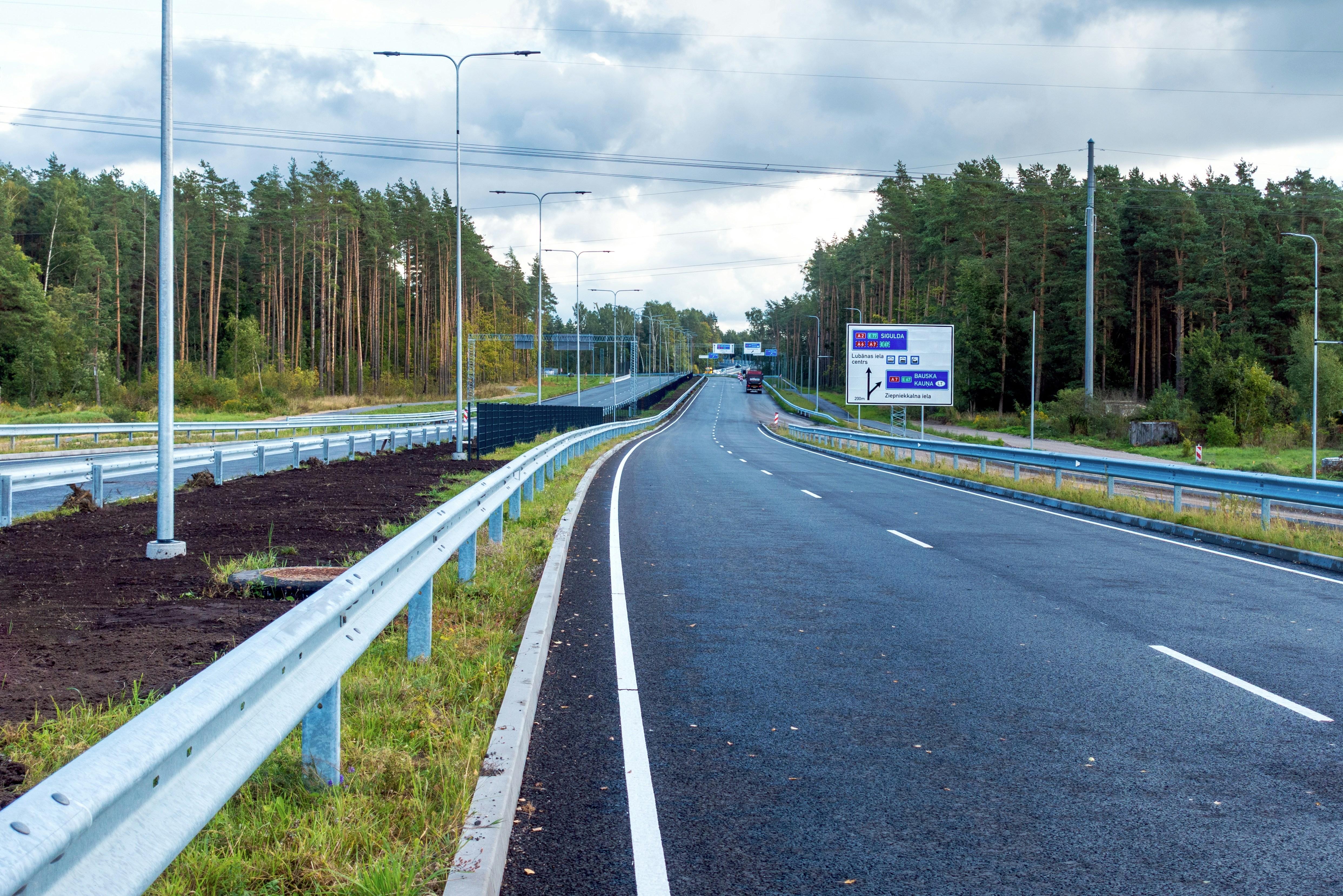 A paved highway curving through a pine forest with metal guardrails and signage