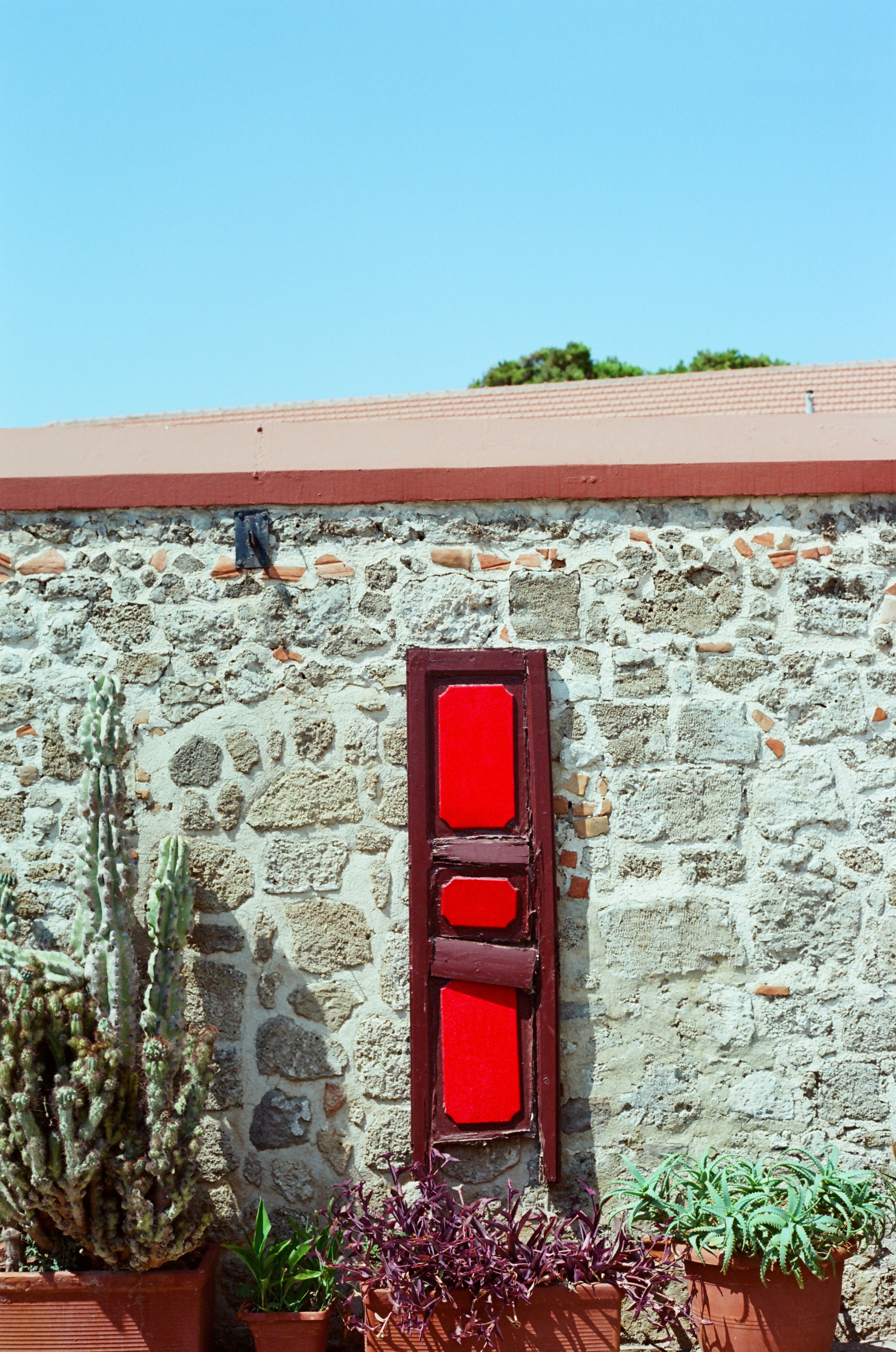 A red shutter on a stone wall beside potted cacti and succulents