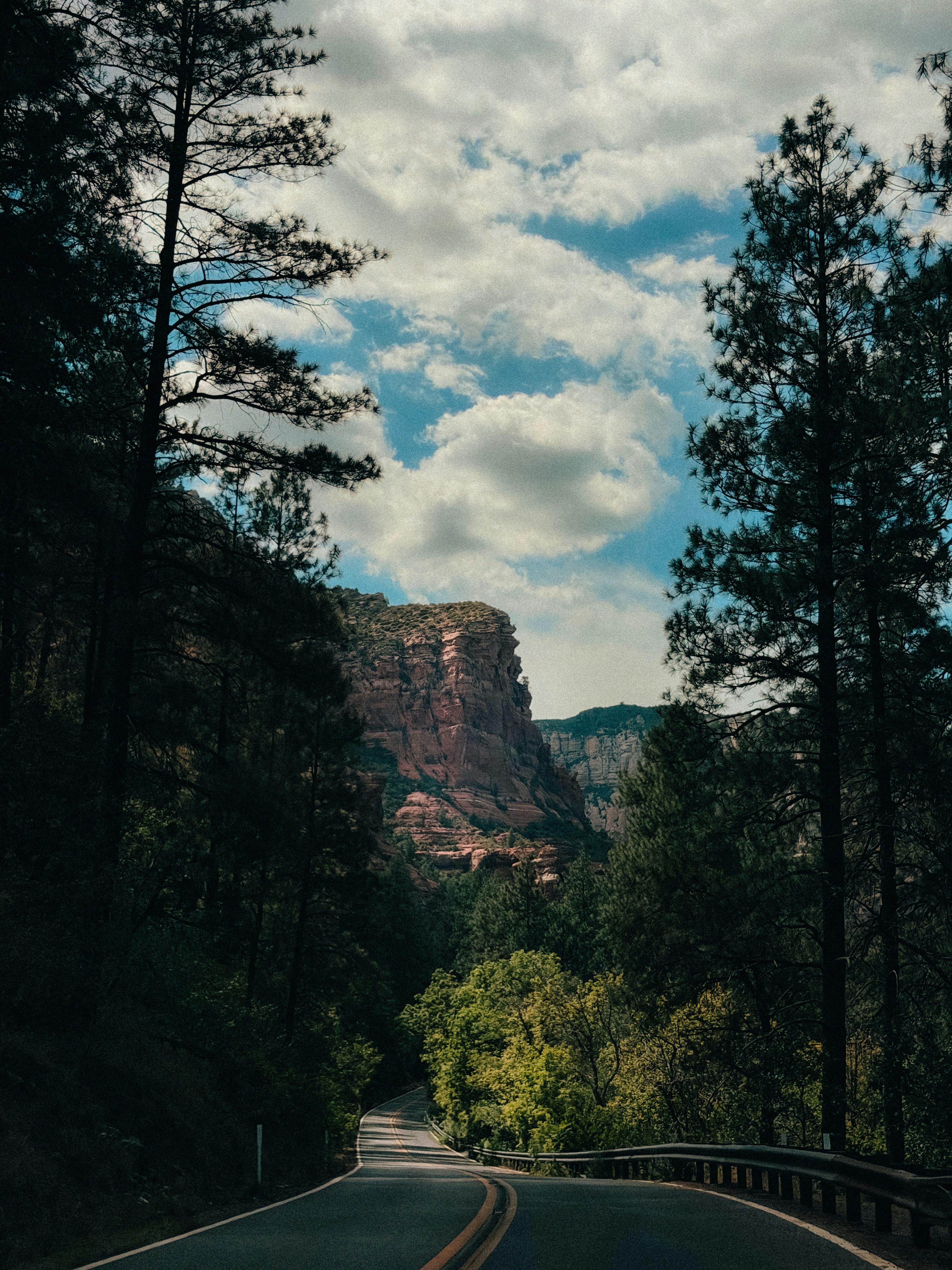 A winding road through a pine forest toward red rock cliffs under clouds
