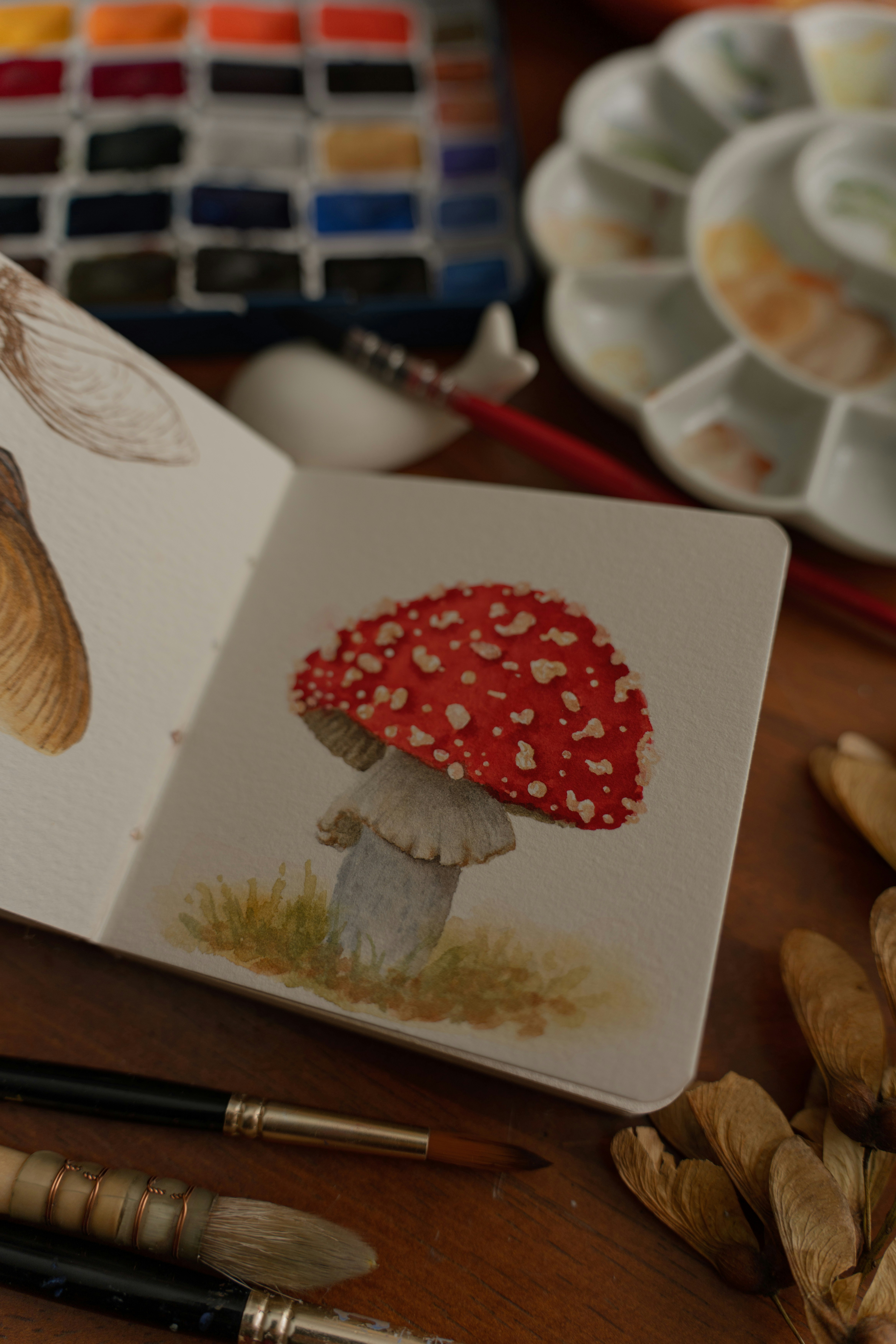 A watercolor painting of a red mushroom with white spots in a sketchbook