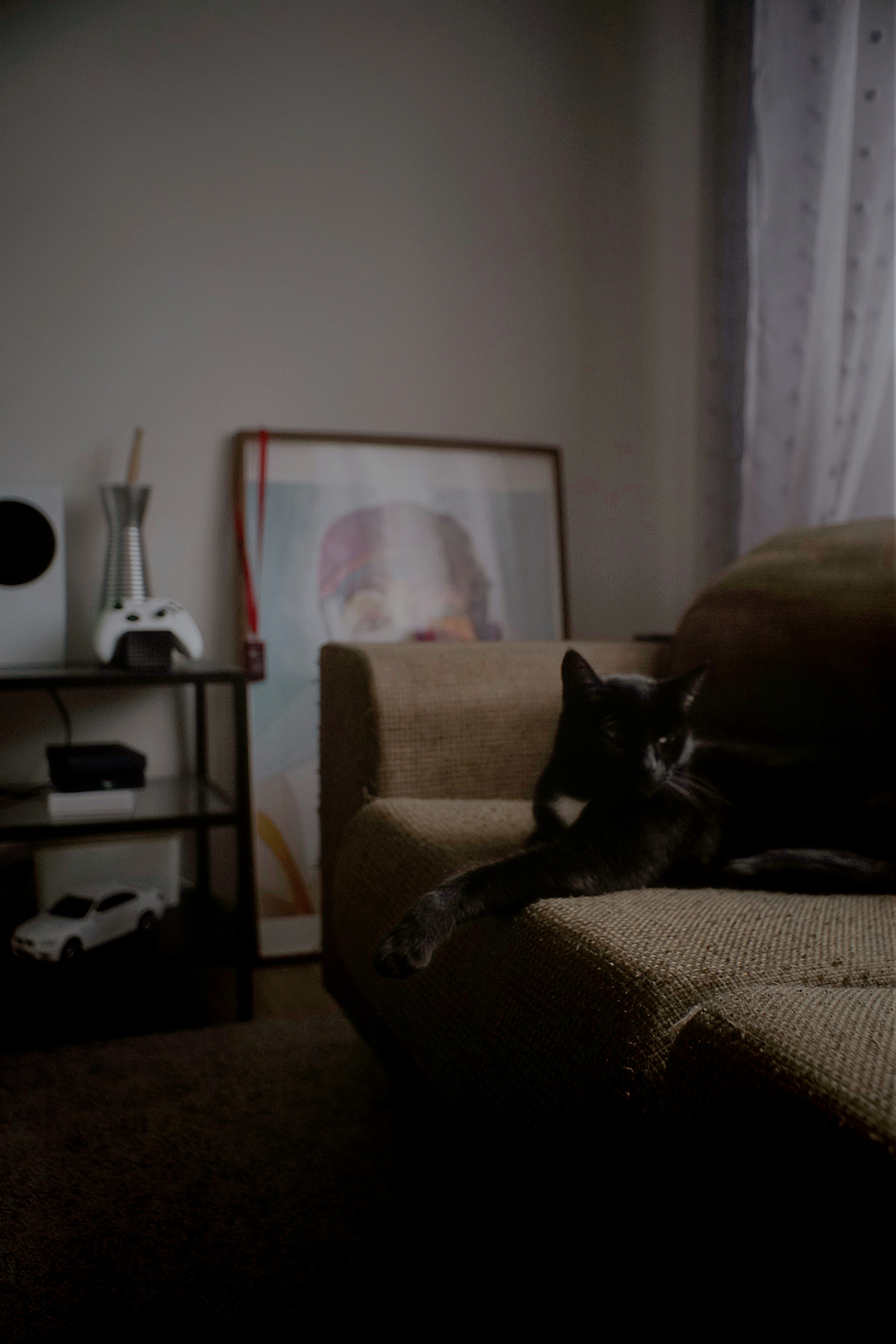 A black cat resting on a textured brown sofa in a dimly lit room
