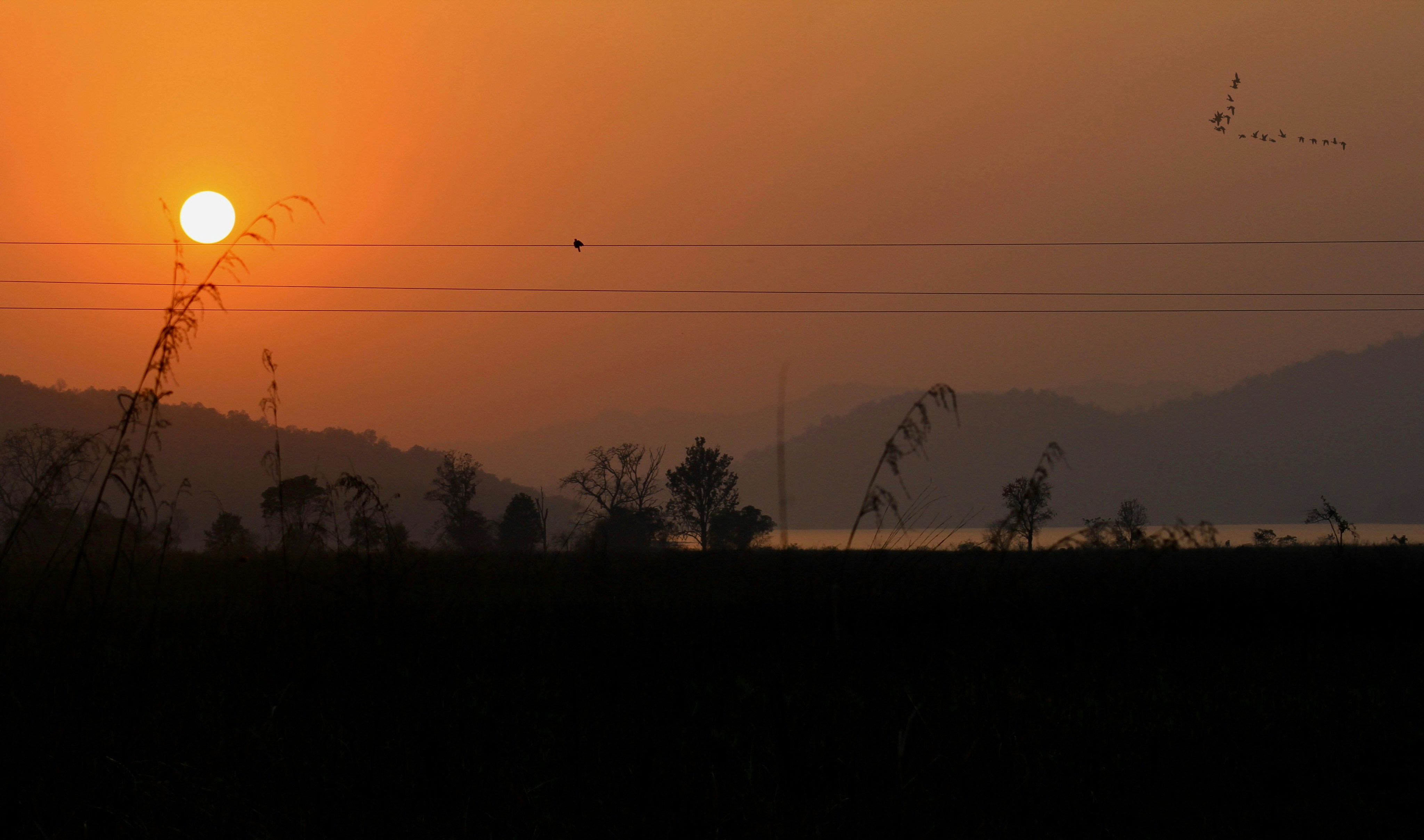 A low sun over a dark landscape with power lines and flying birds