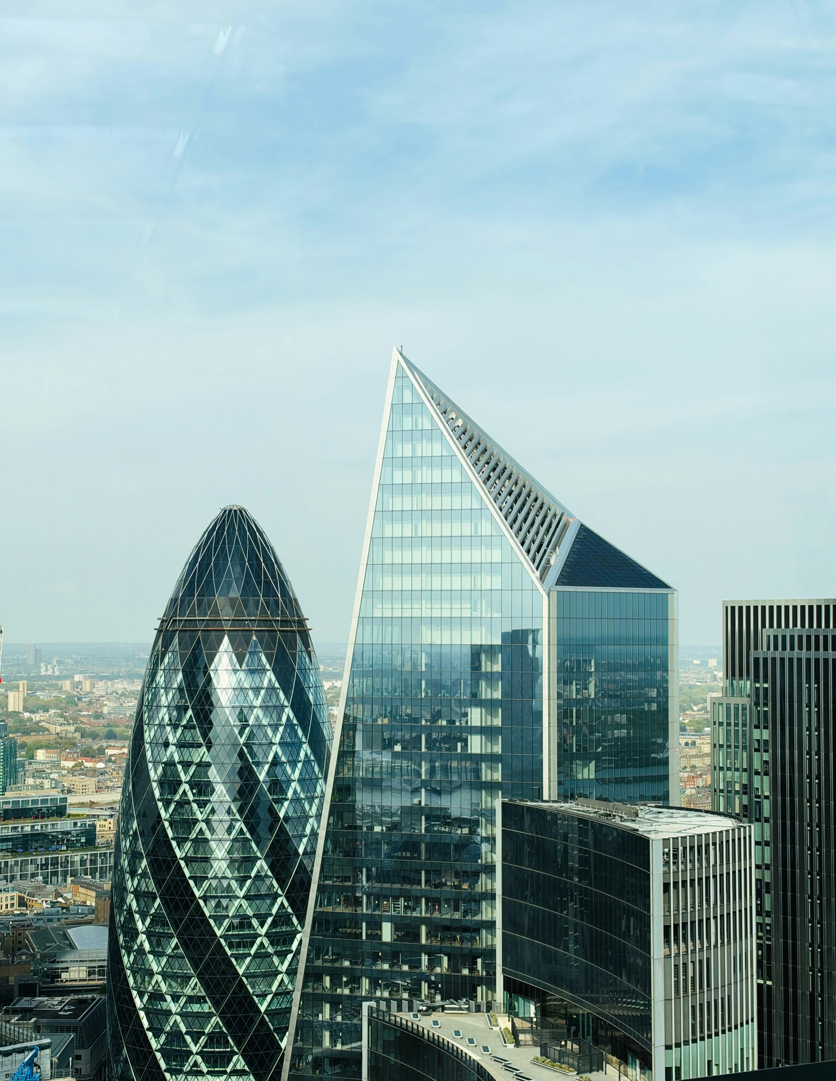 The Gherkin and the Scalpel skyscrapers
