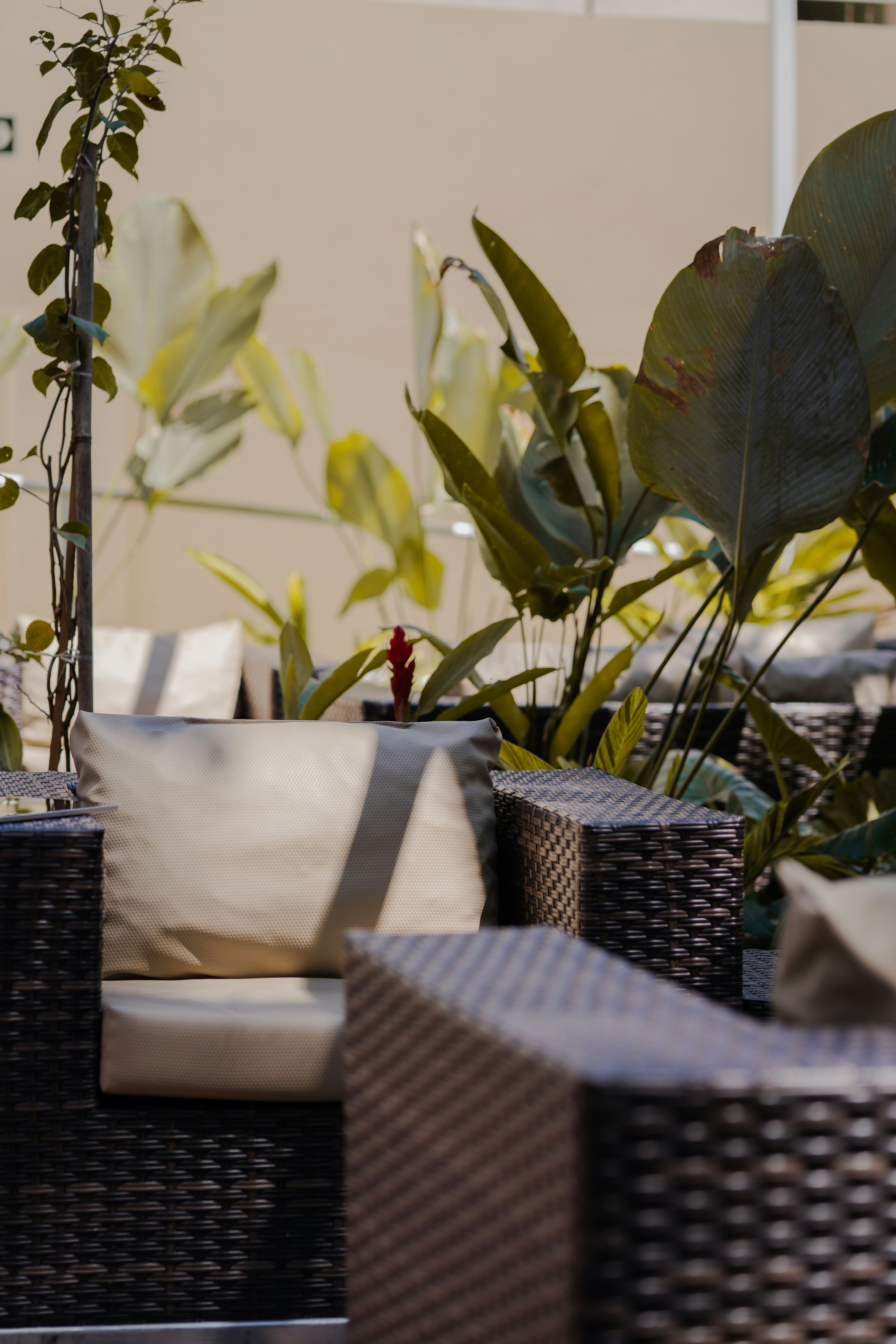 Weidensessel mit beigefarbenen Kissen in einer üppigen Gartenterrasse