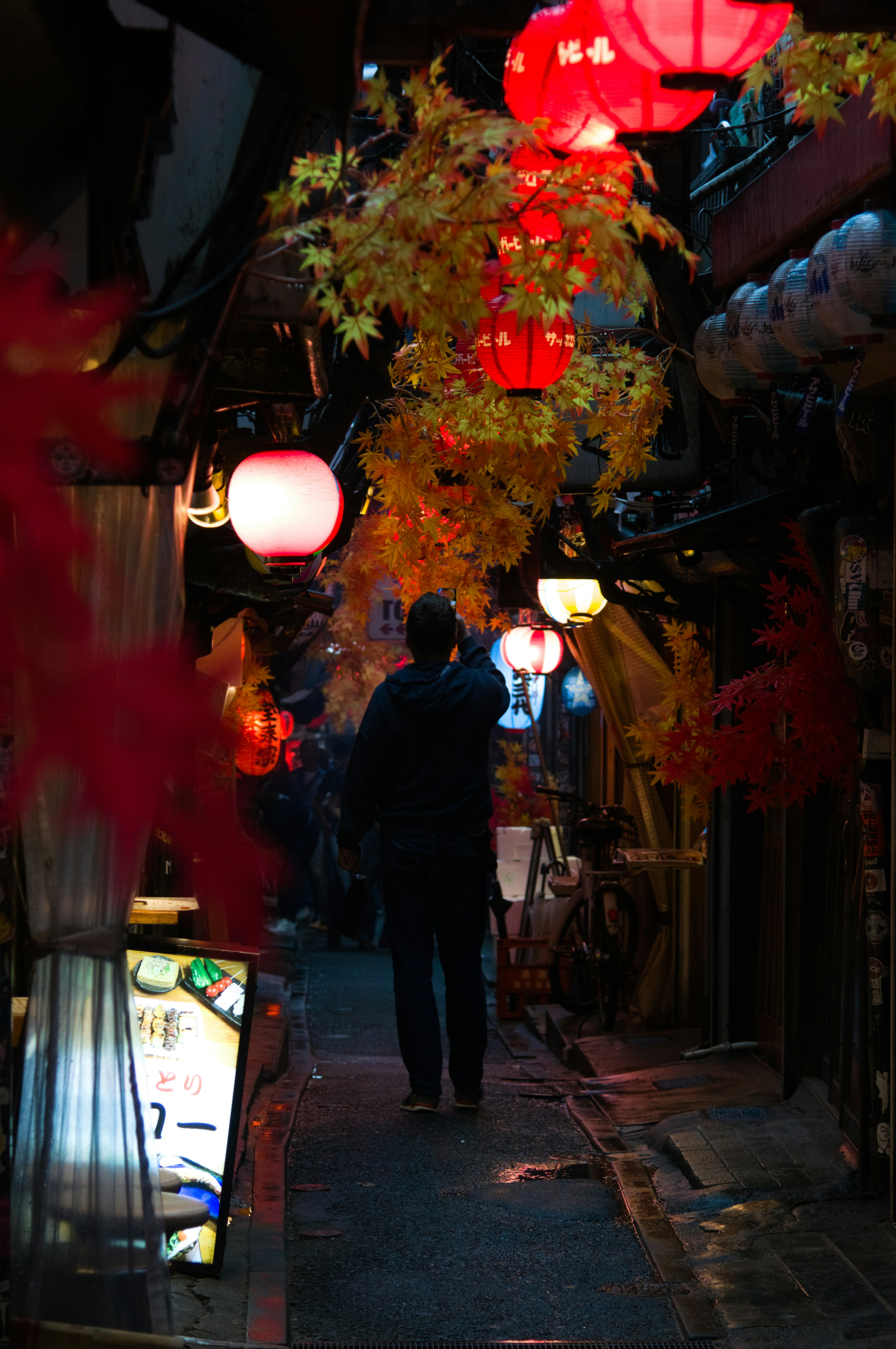 A person walking down a narrow alleyway illuminated by red paper lanterns and autumn leaves
