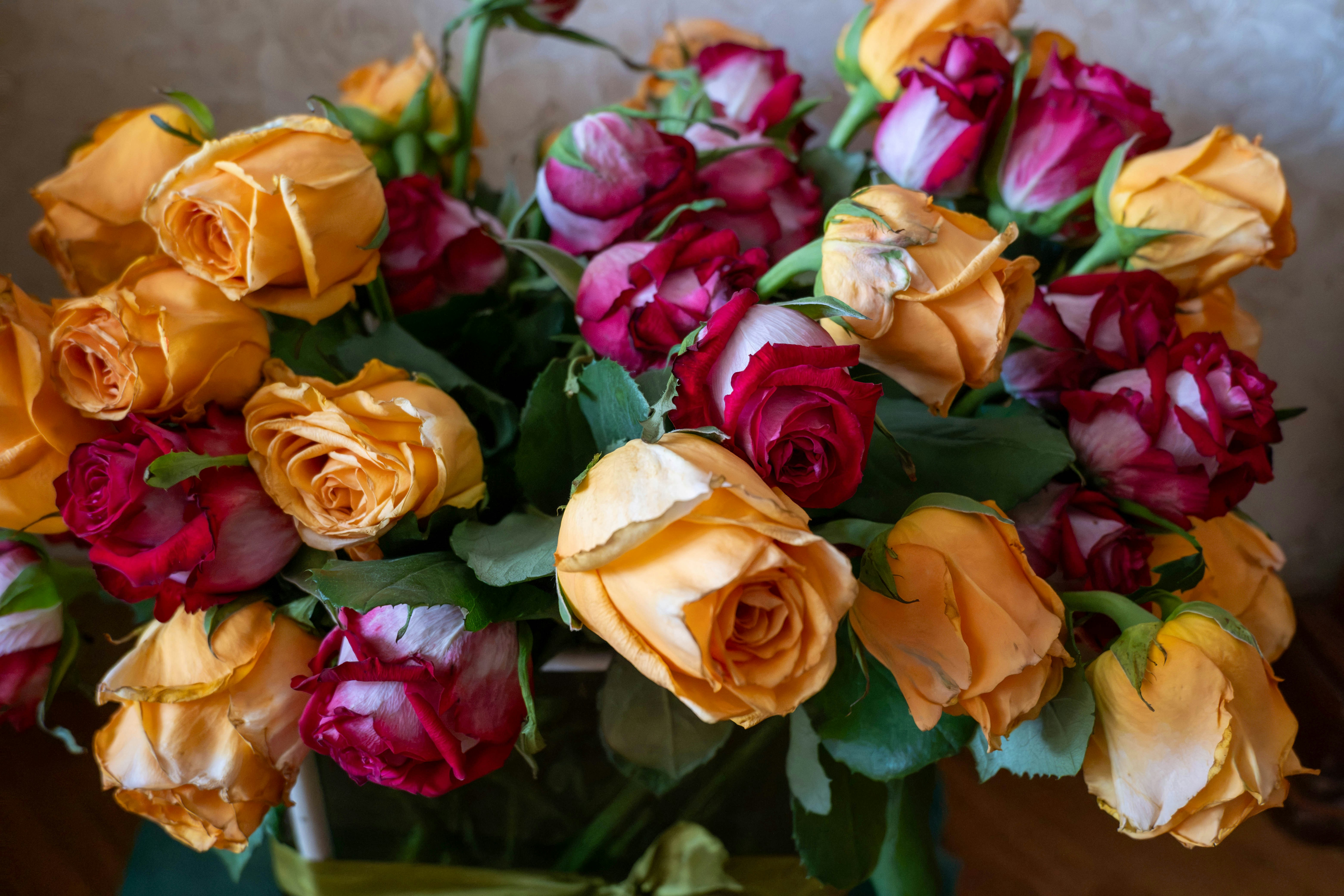 rose bouquet closeup
