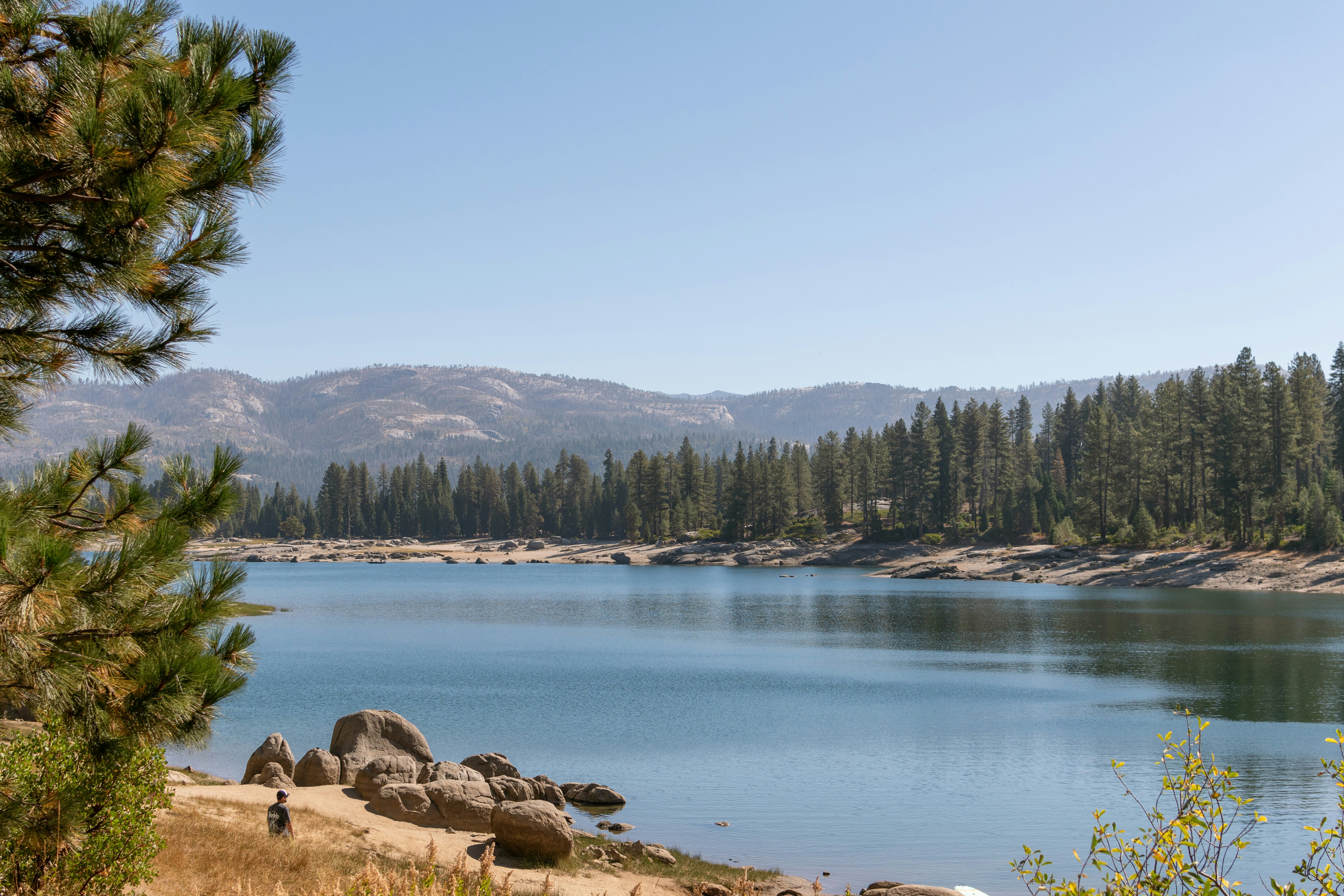 A person standing on a rocky shore beside a lake with pine trees
