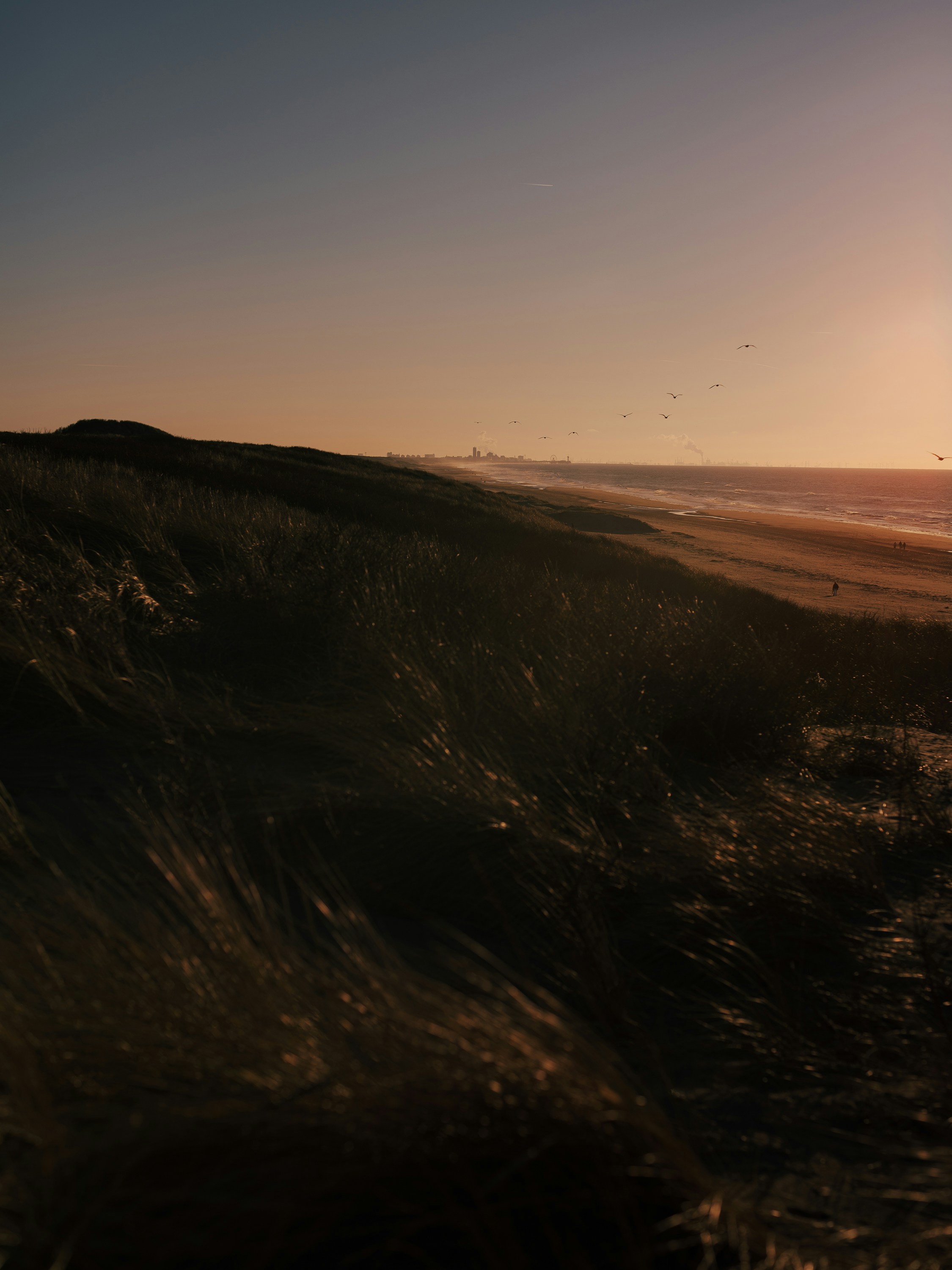 Grassy dunes overlooking a sandy beach under a warm orange sky