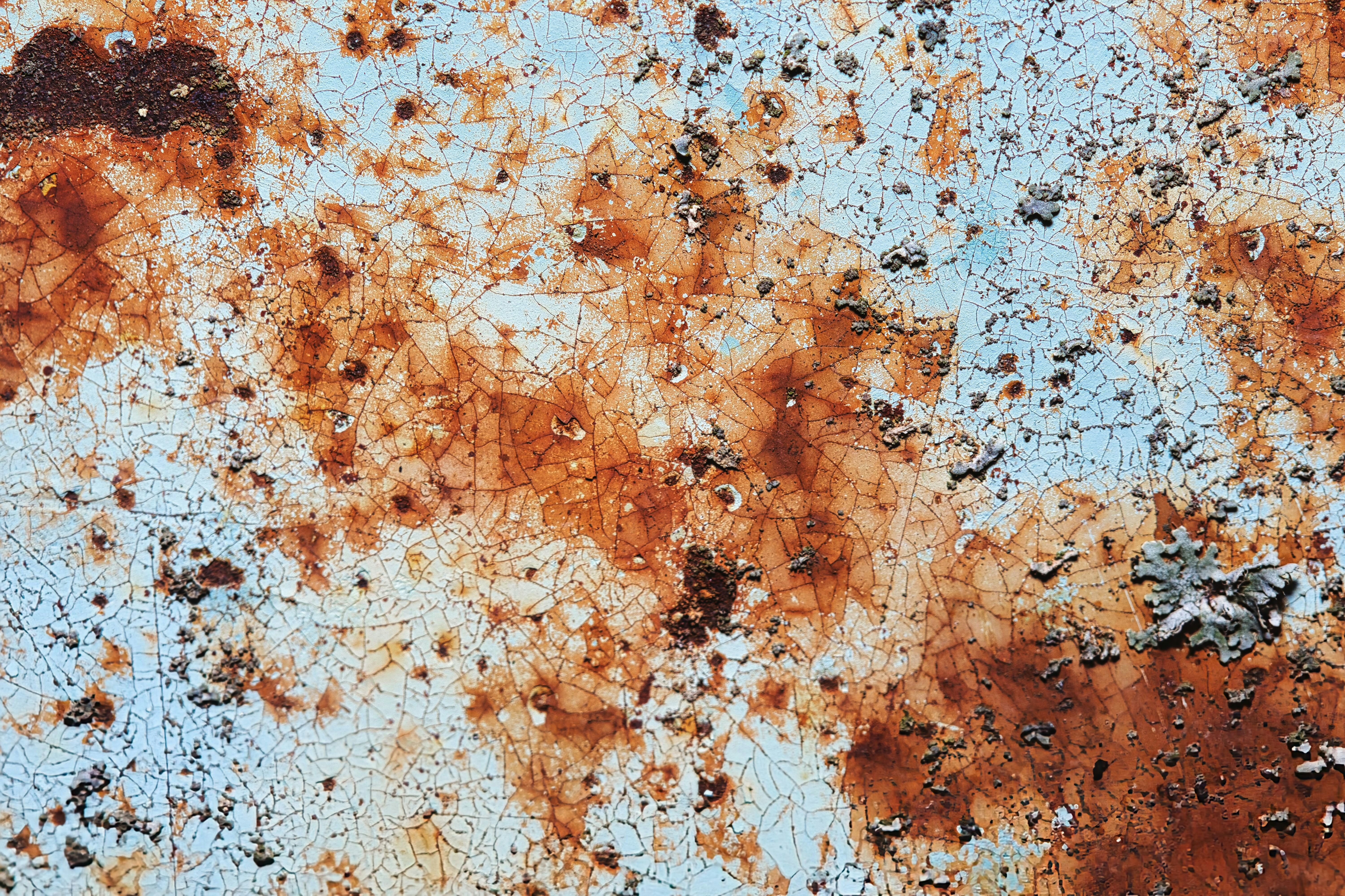 Peinture bleu clair craquelée révélant des taches de rouille orange foncé et de lichen gris
