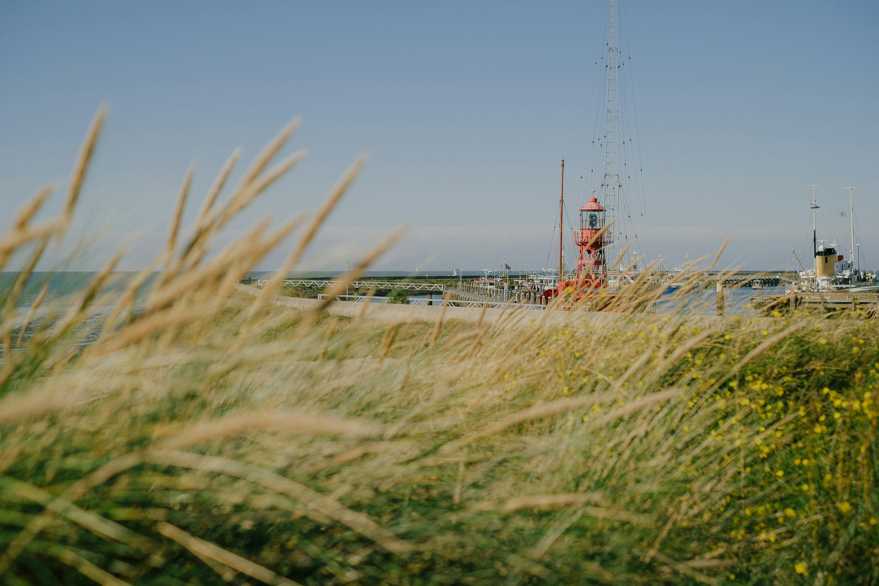 Tall beach grass in the foreground with a red lighthouse and harbor beyond