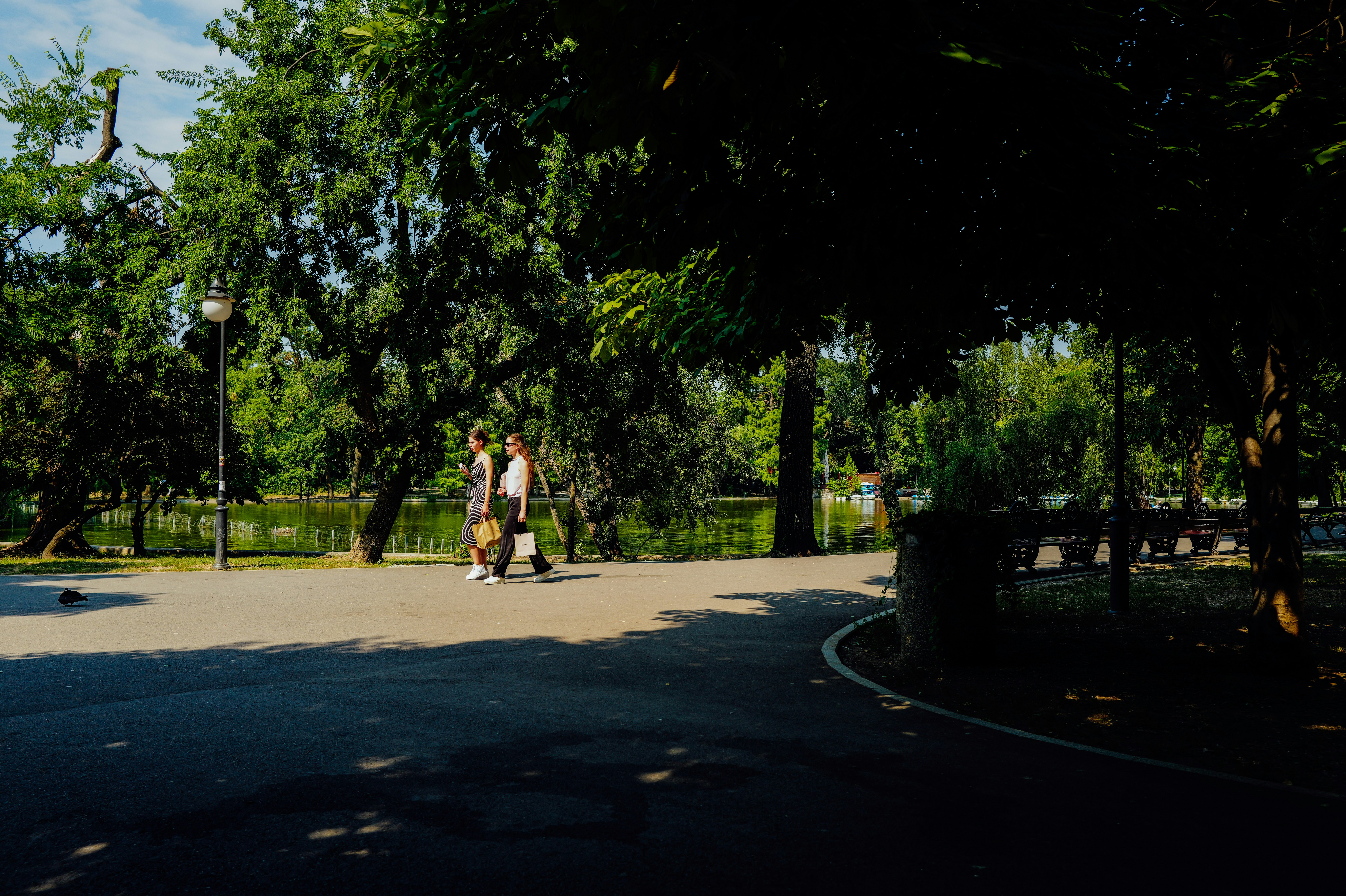 Lake or garden walk