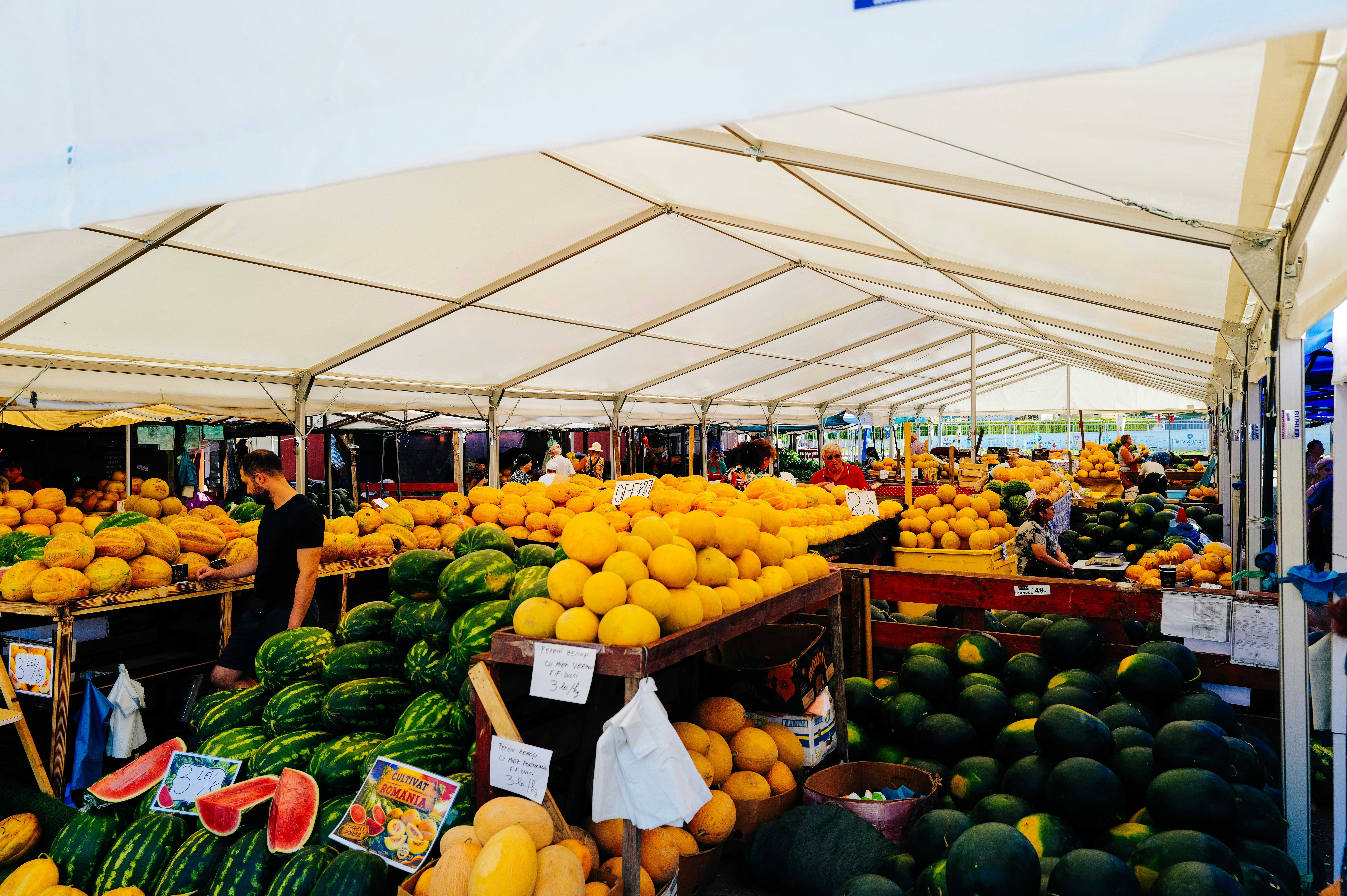 Market tent with piles of yellow melons
