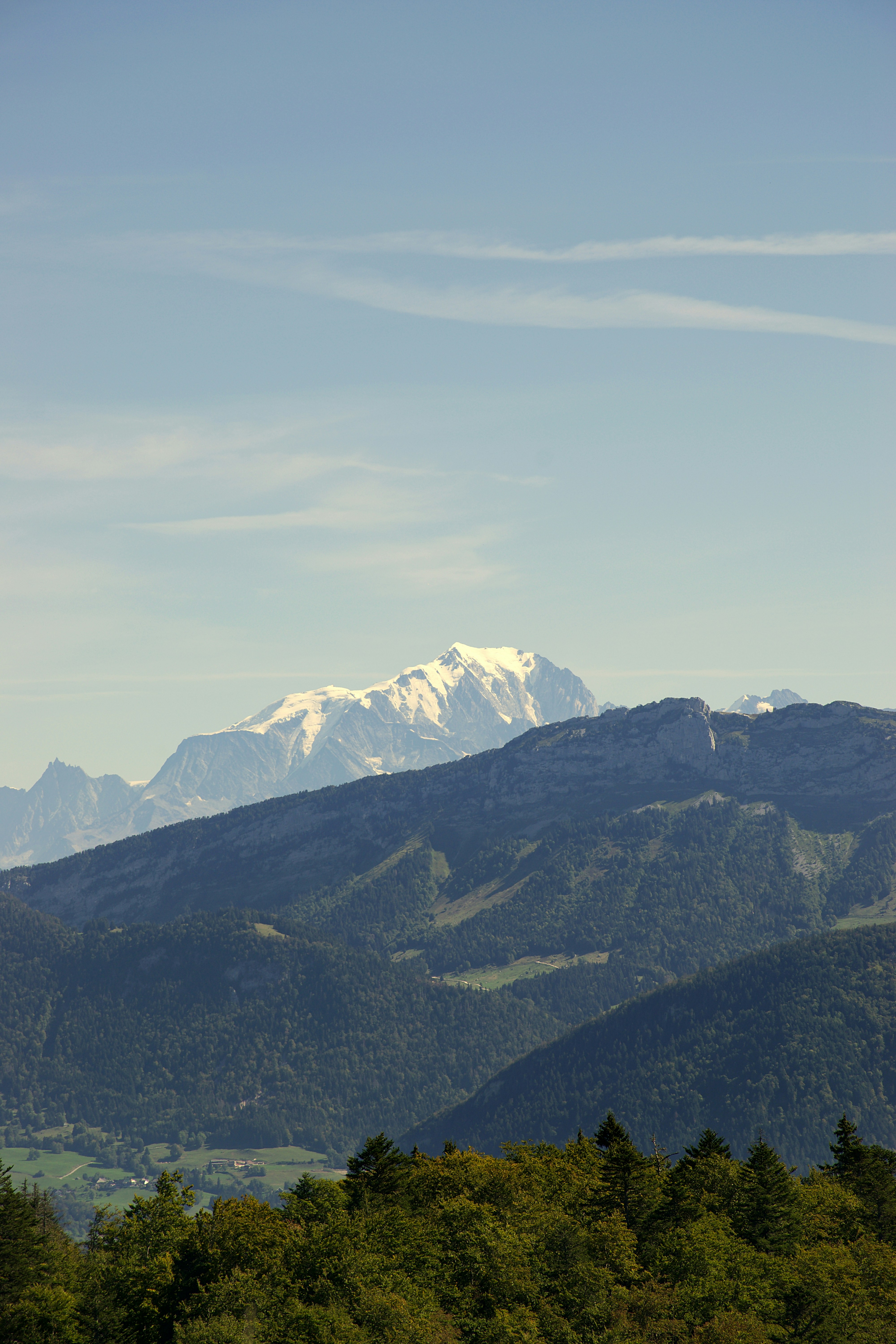 The snow-capped Mont Blanc peak rising above forested mountain ridges under a clear sky