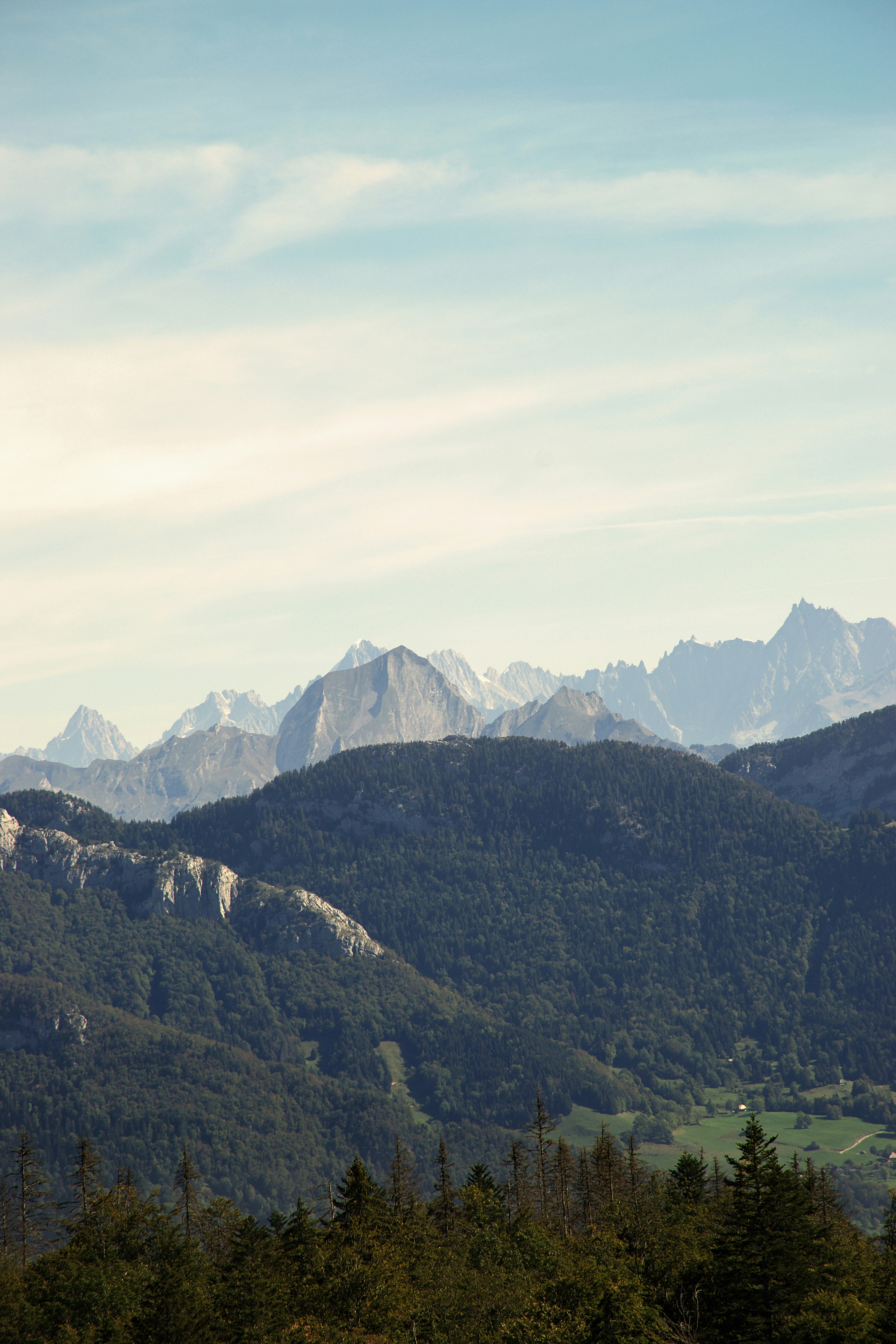Forested mountain slopes below a range of jagged snow-capped peaks under a pale sky