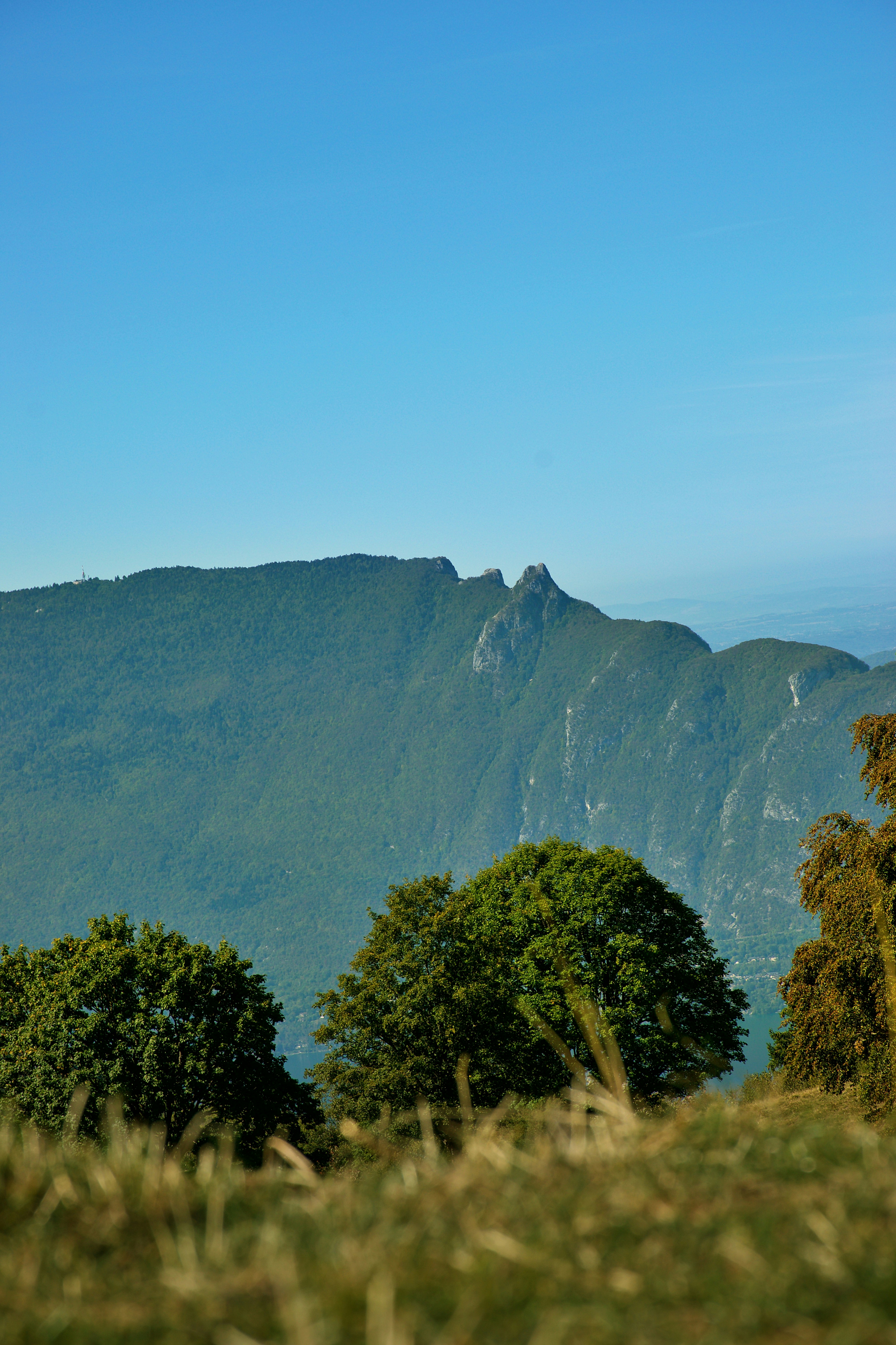 Green mountains rising above a lake under a clear blue sky