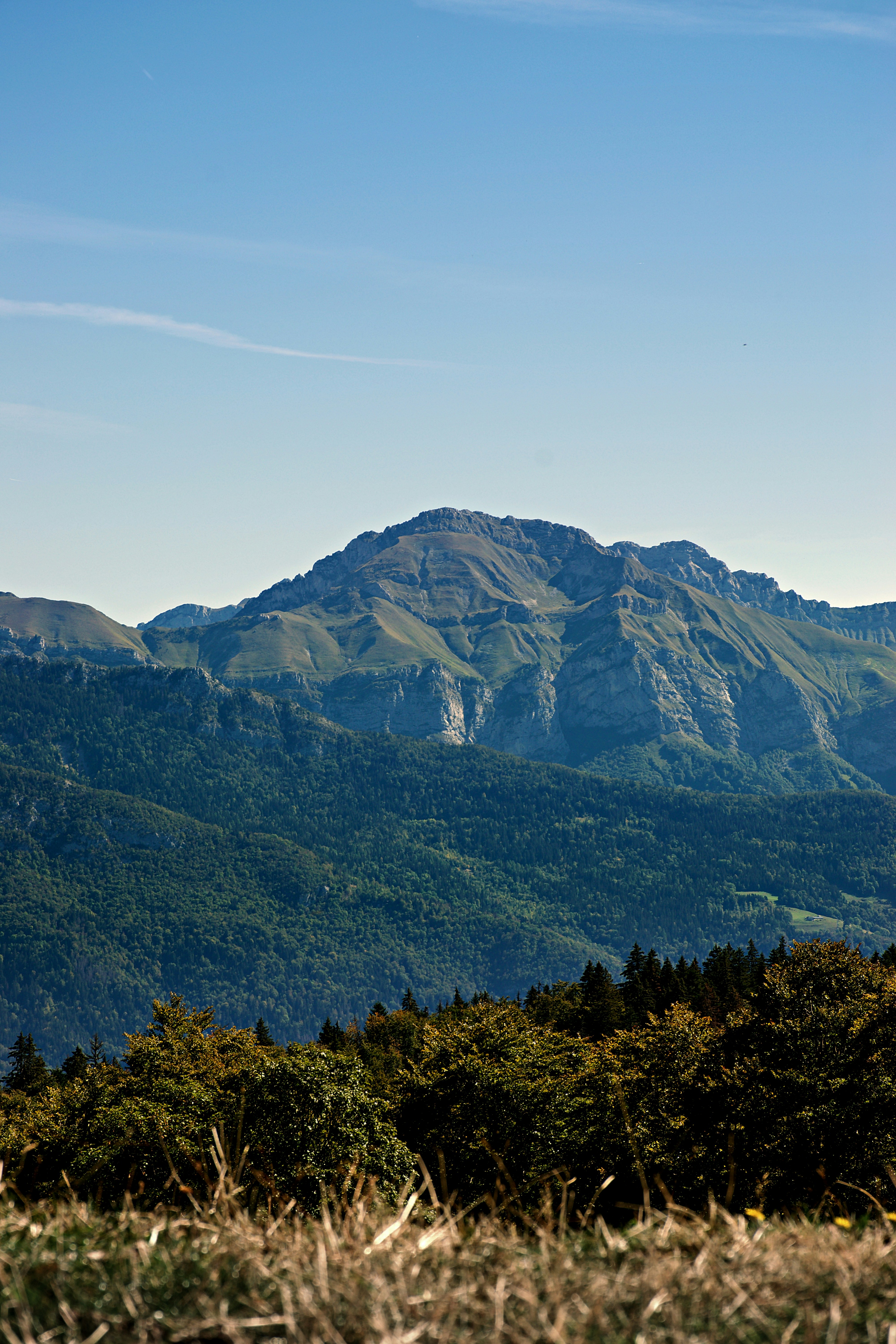 A rugged mountain peak rising above dense green forests under a clear blue sky