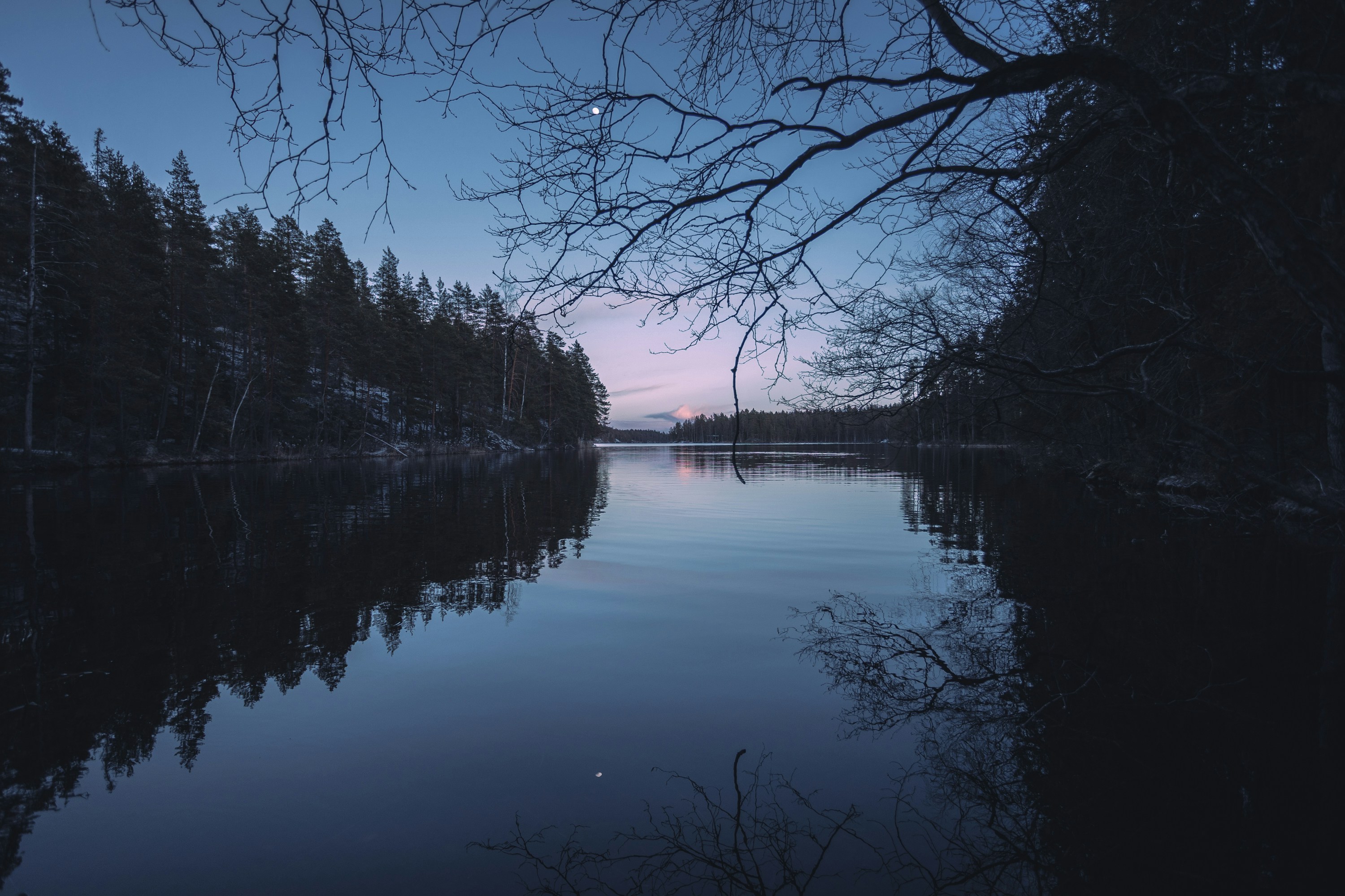 Calm lake reflecting dark forest - Free Photo on Unsplash