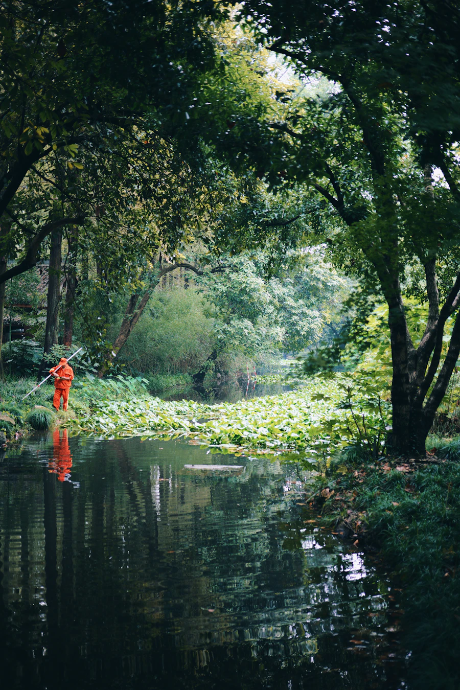 Crew cleaning up a pond edge