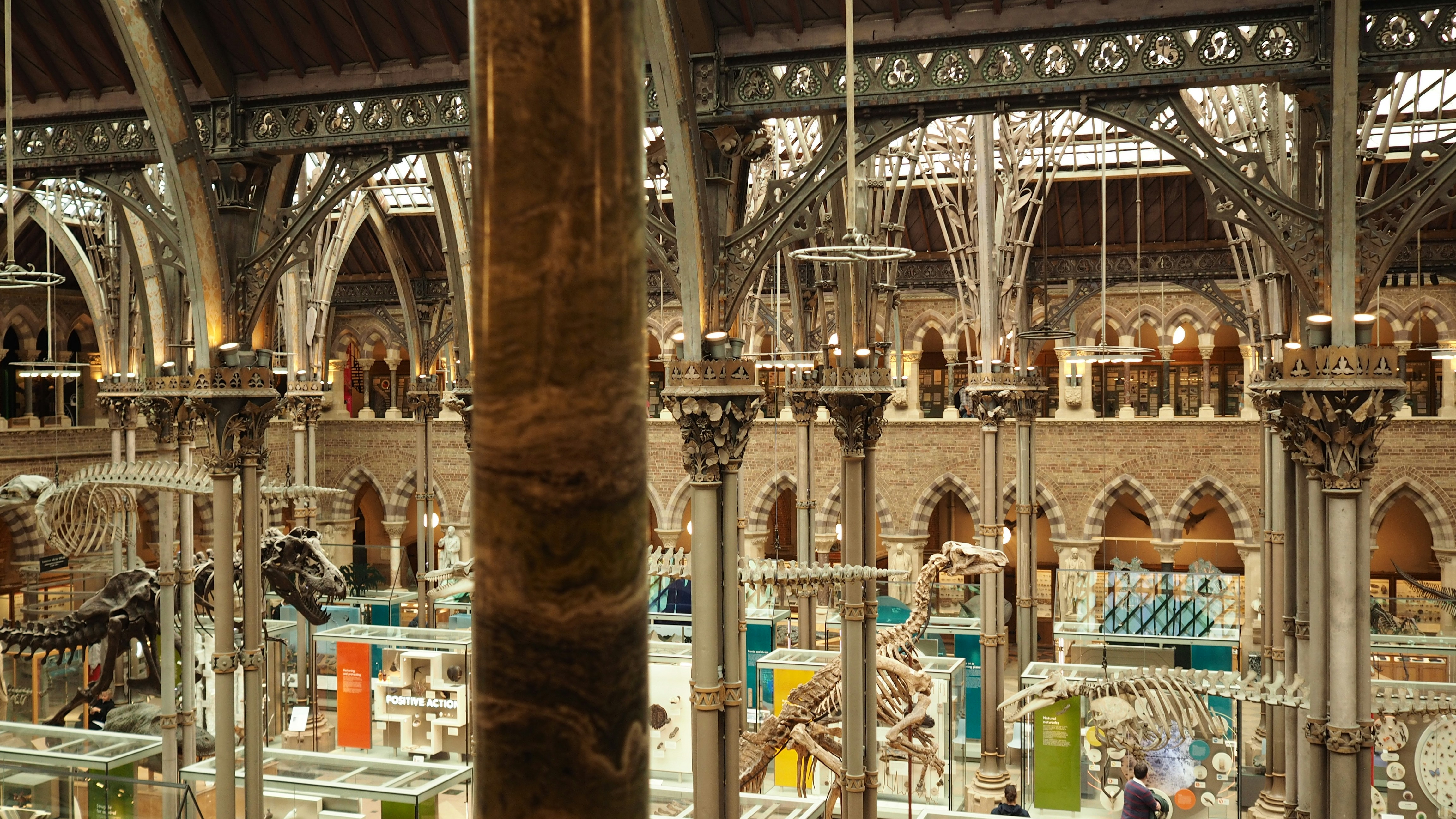 Dinosaur skeletons and iron columns inside a museum hall with brick walls and arches