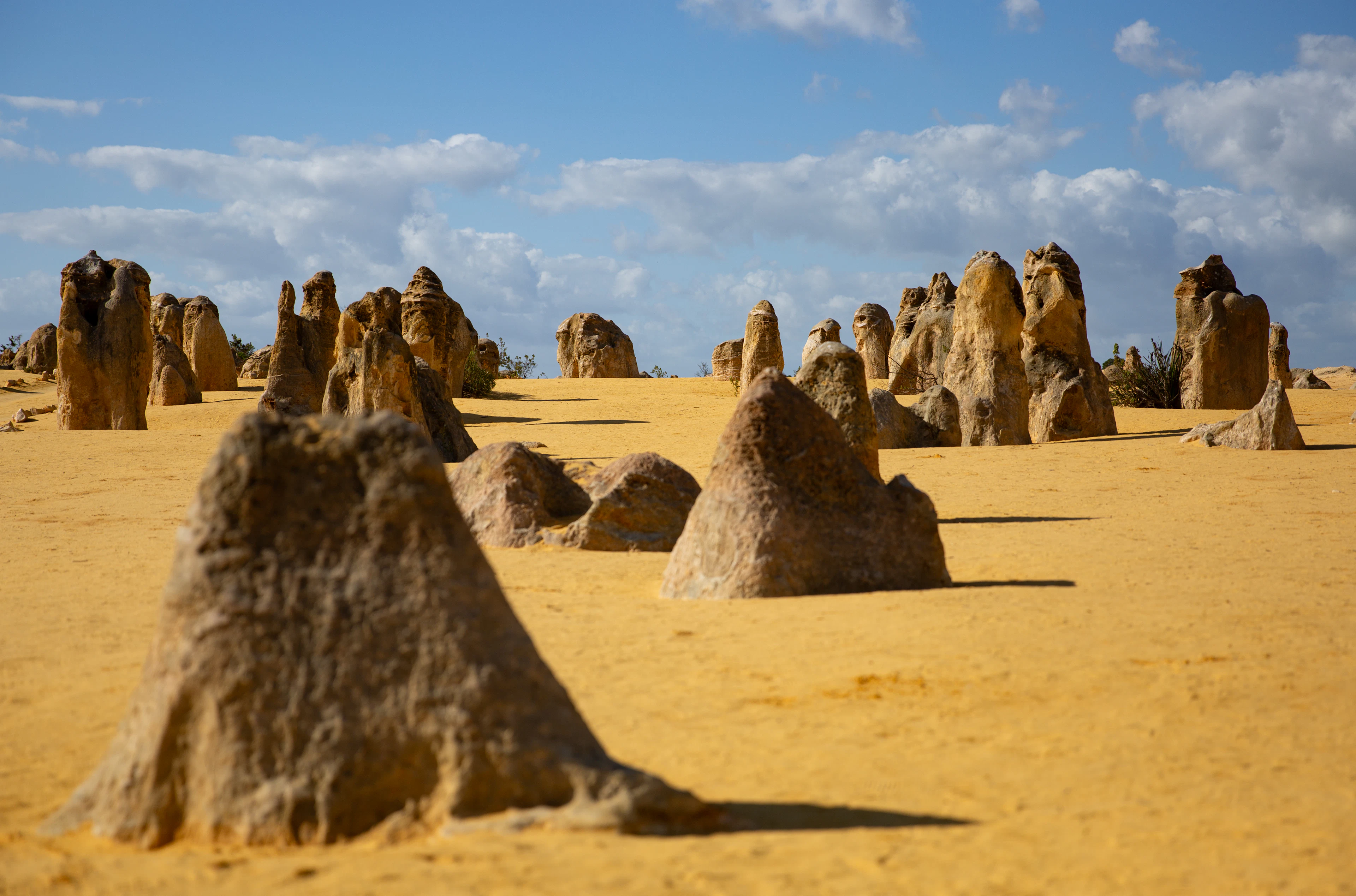 Limestone pillars rising from yellow sand under a blue sky in Nambung National Park