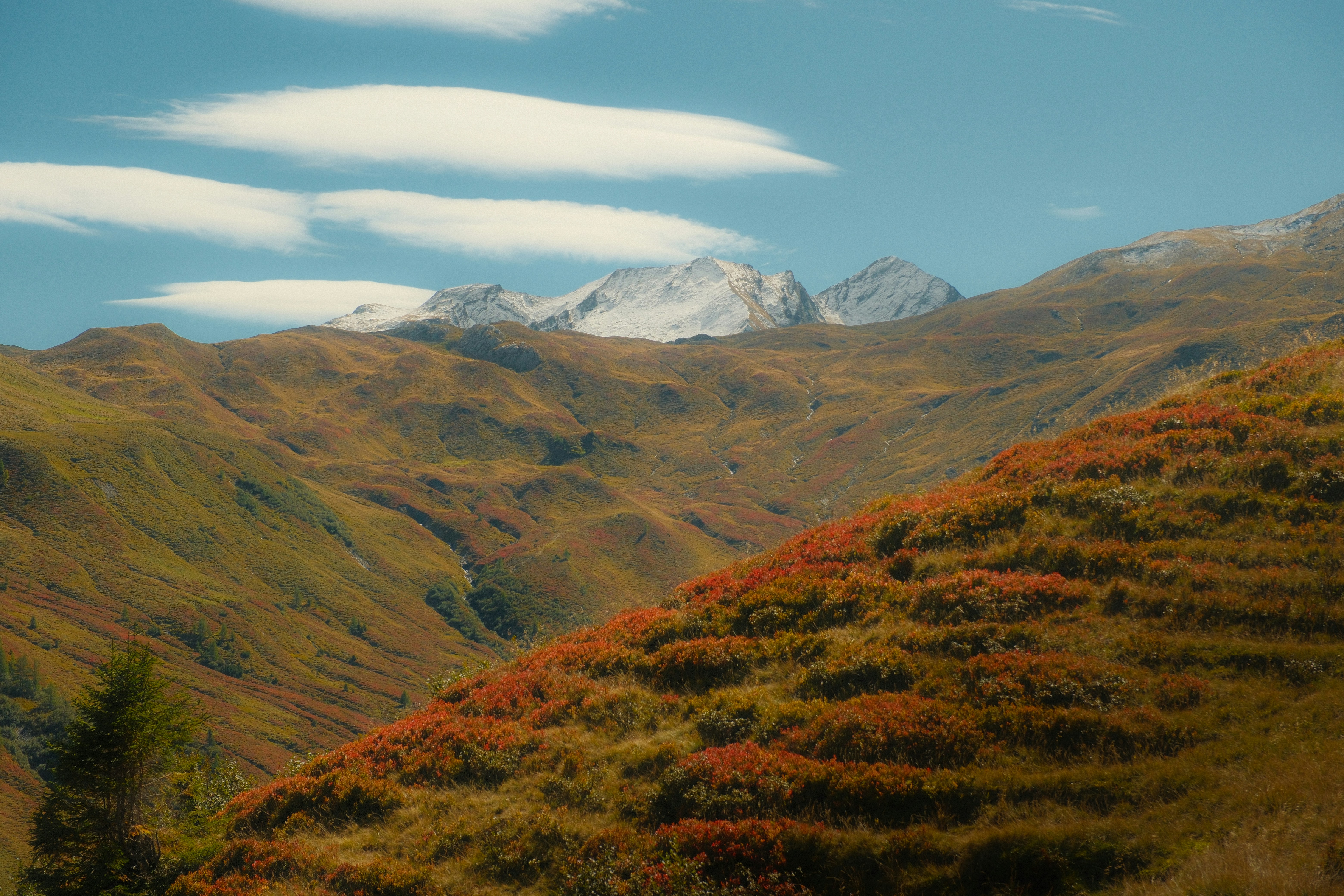 Snow-capped mountain peaks above rolling hills with autumn foliage under a blue sky