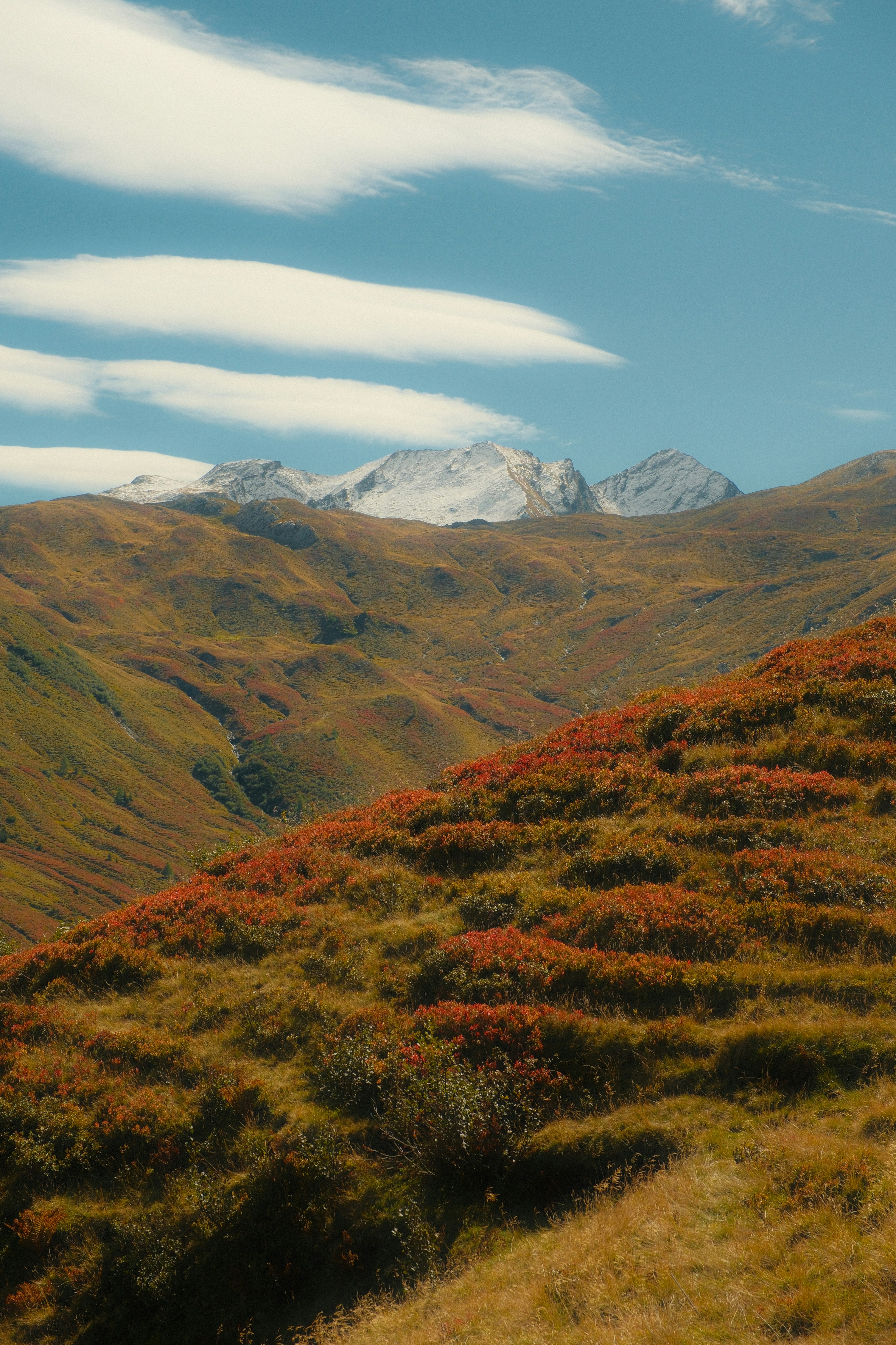 Snow-capped mountain peaks above rolling hills with autumn foliage under a blue sky