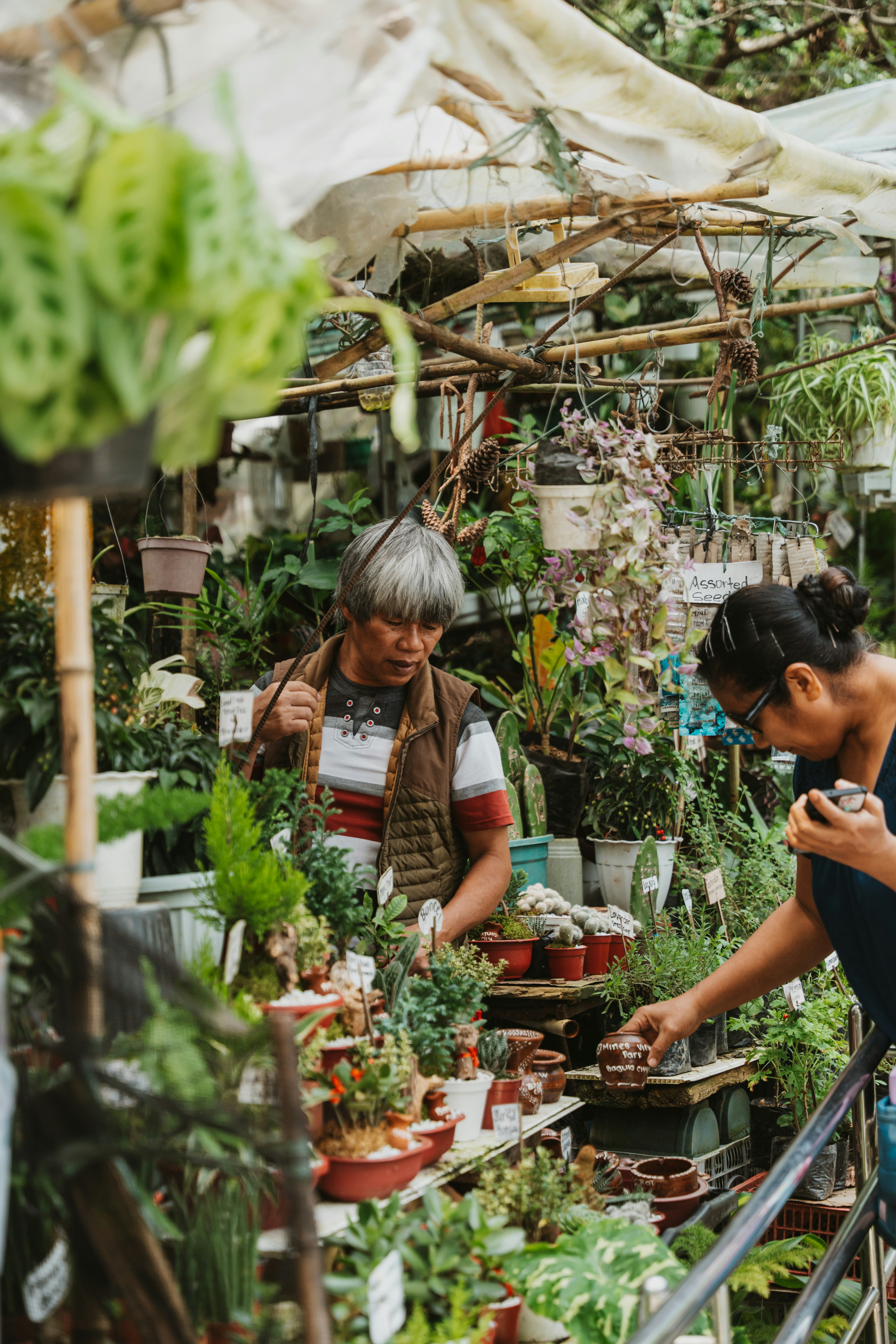A person with grey hair and a woman browsing potted plants at a market