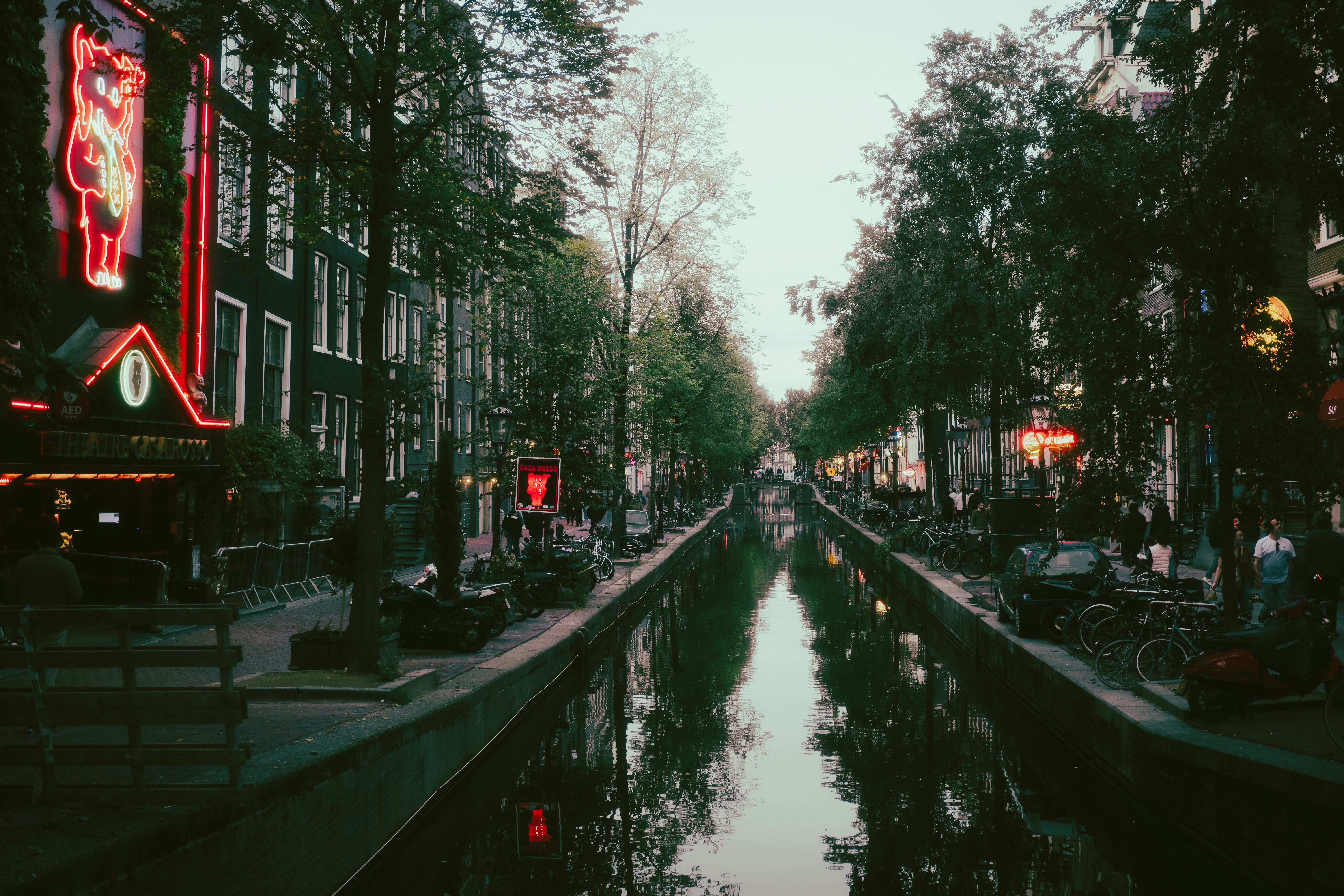 A canal in Amsterdam lined with trees, parked bicycles, and glowing neon signs
