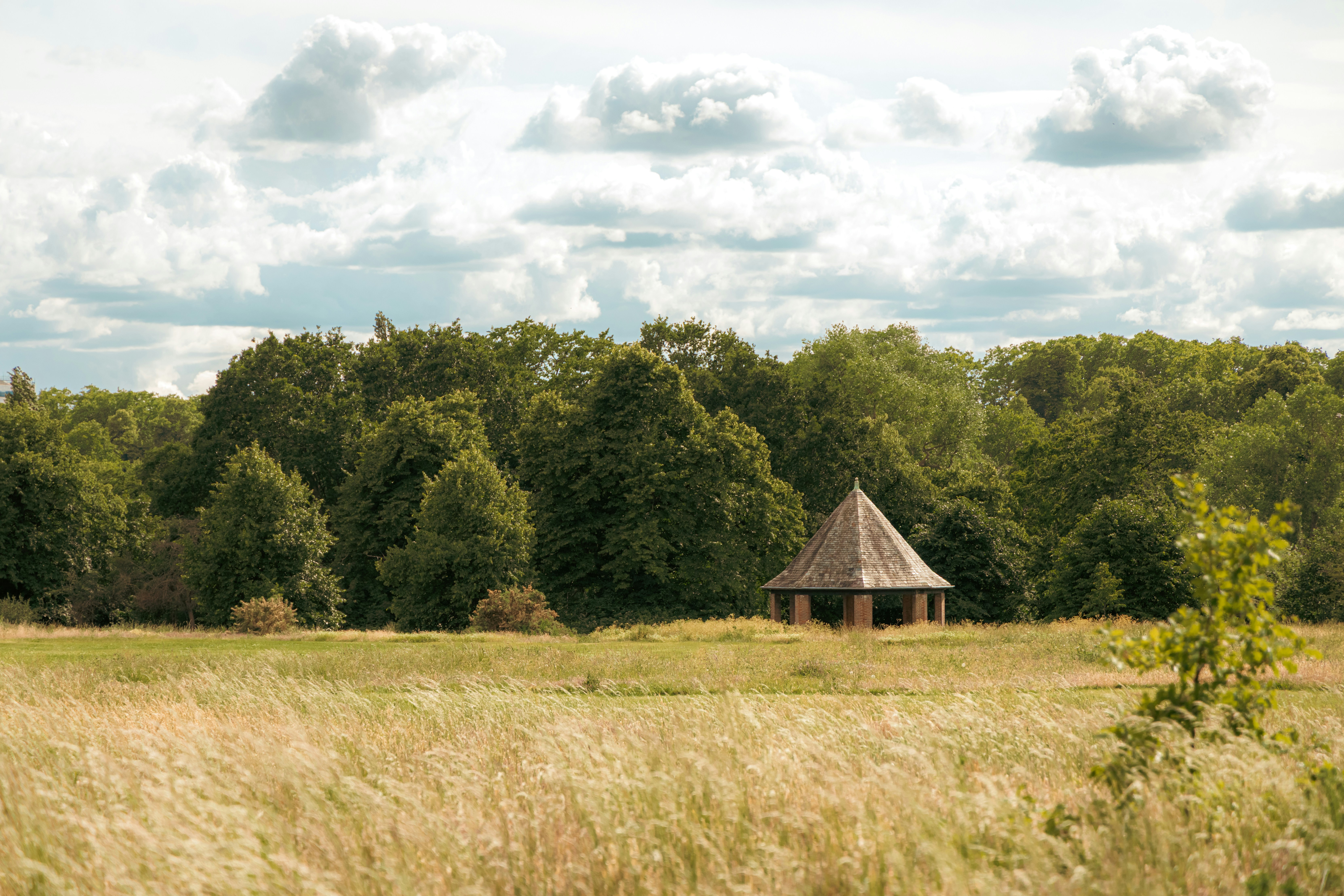 Chuck Pang (@chucktfp) | Unsplashフォトコミュニティ